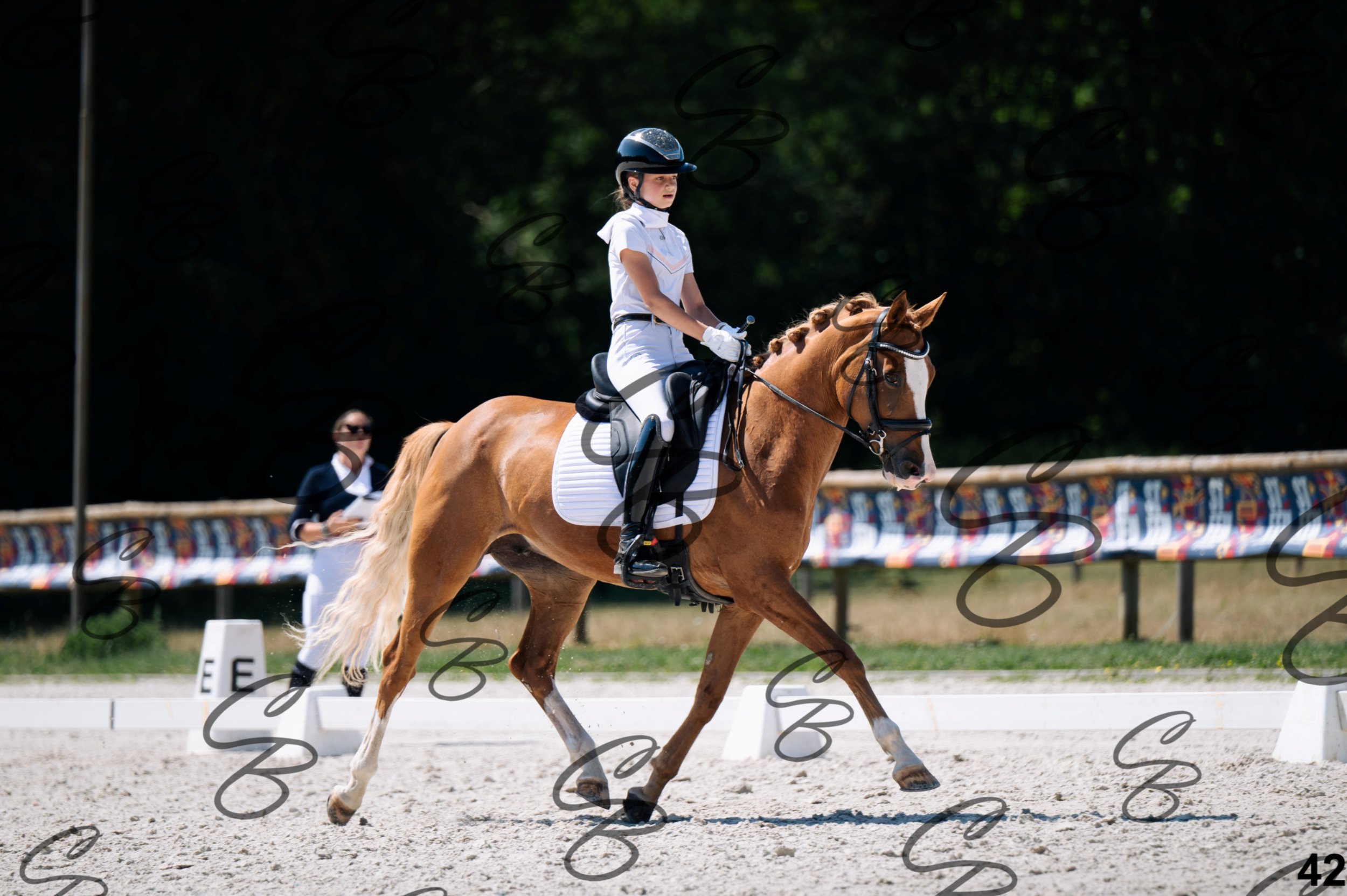 2026.07.12 - Niveau 2 - N2.4-42.jpg