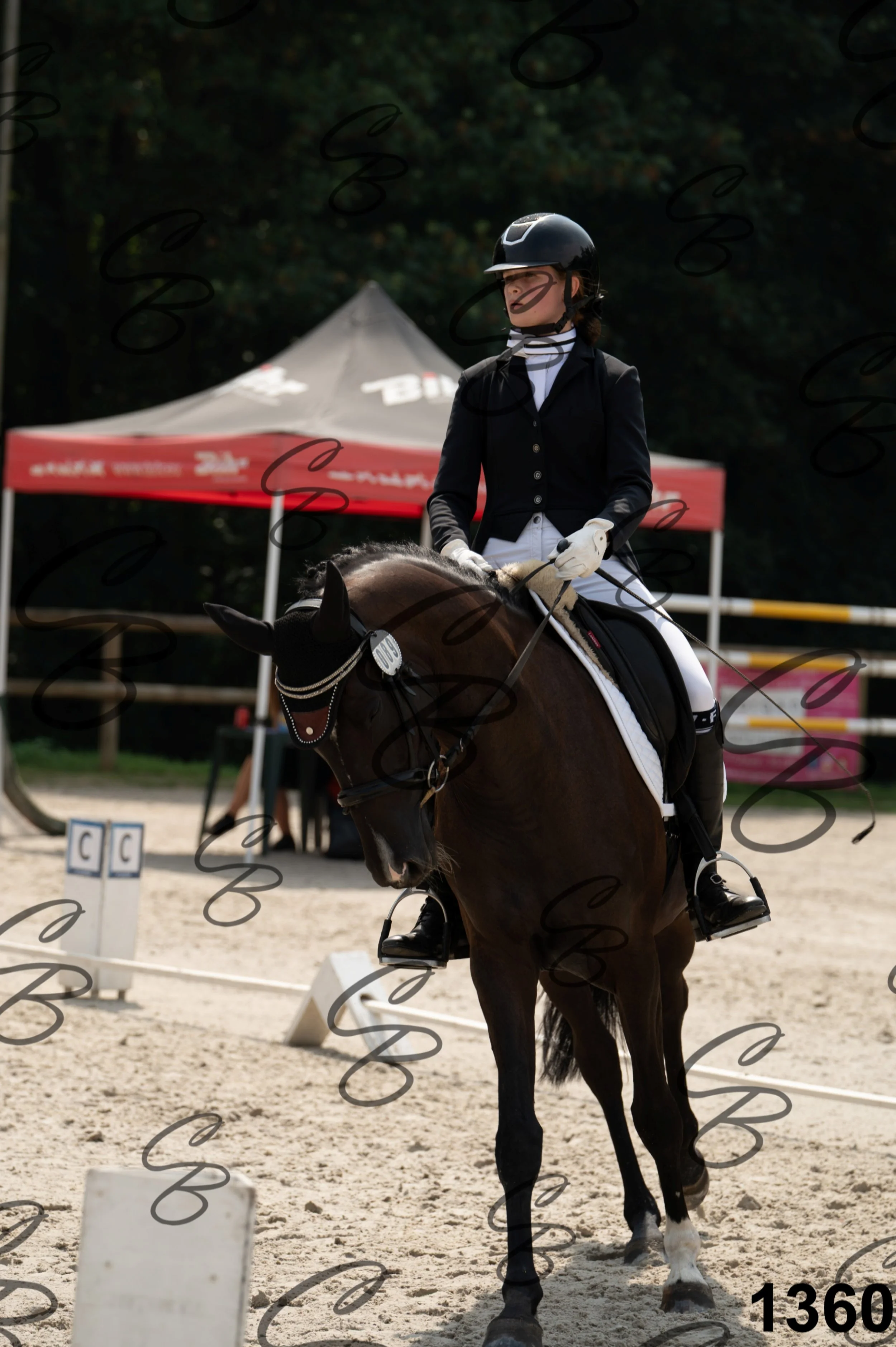 2026.08.15 - Louchier - GHO-1364.jpg