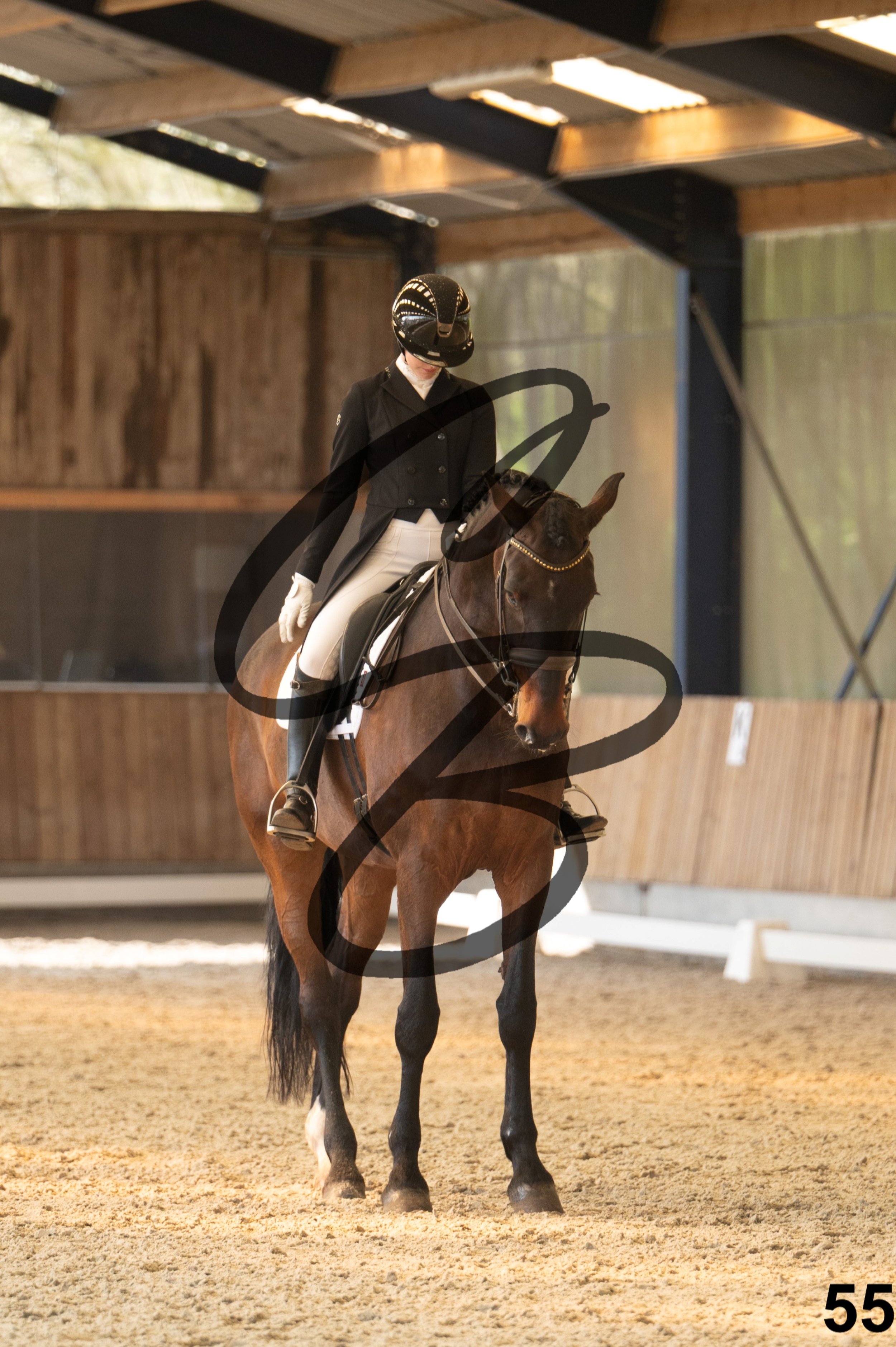 2026.03.22 - Niv5 - Young rider team-55.jpg