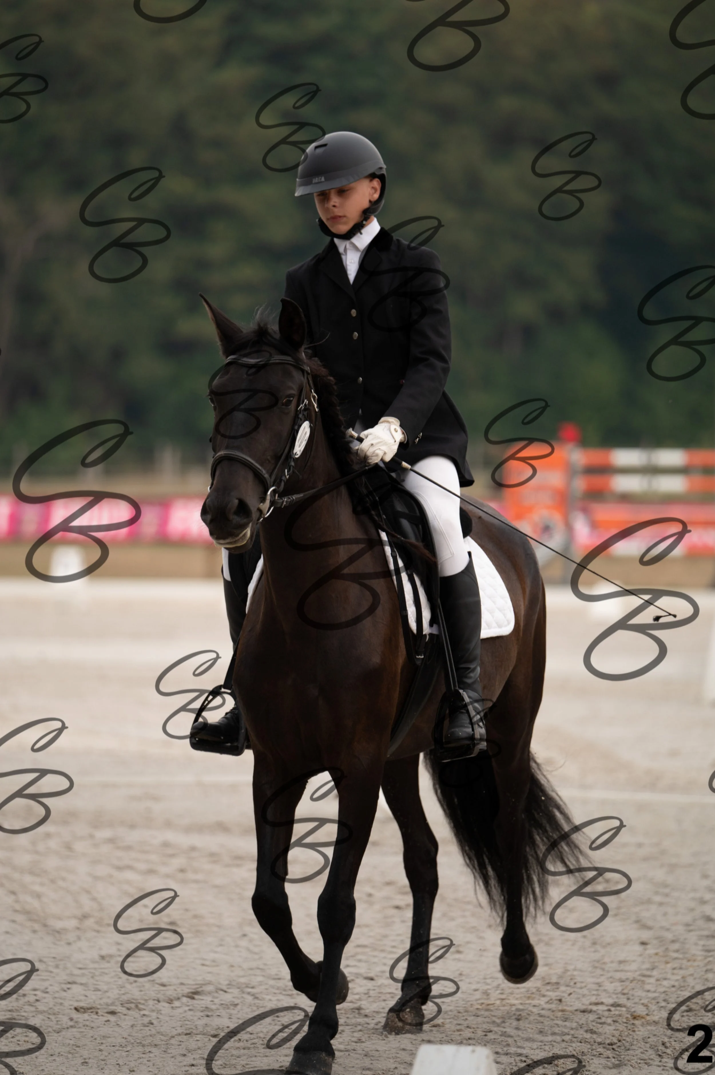 2026.08.15 - Louchier - GHO-7.jpg