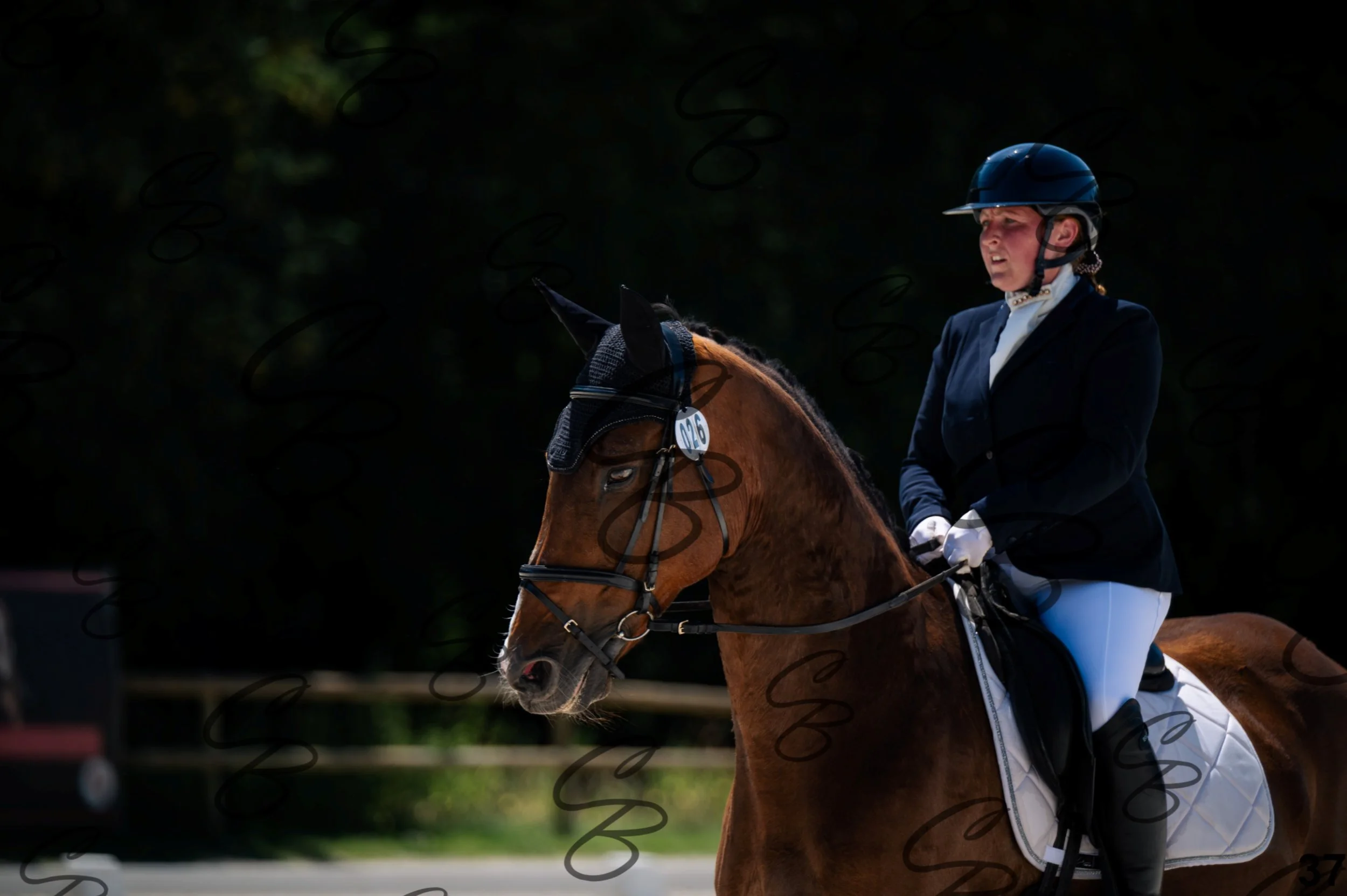 2026.07.12 - Niveau 1 - N1.5-37.jpg