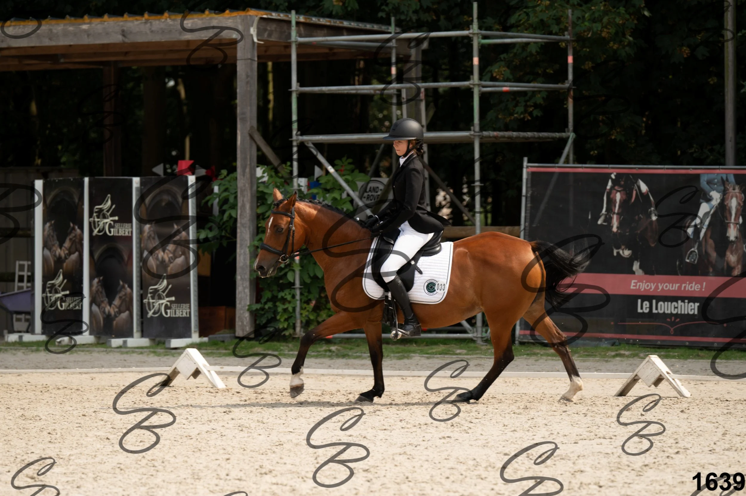 2026.08.15 - Louchier - GHO-1856.jpg