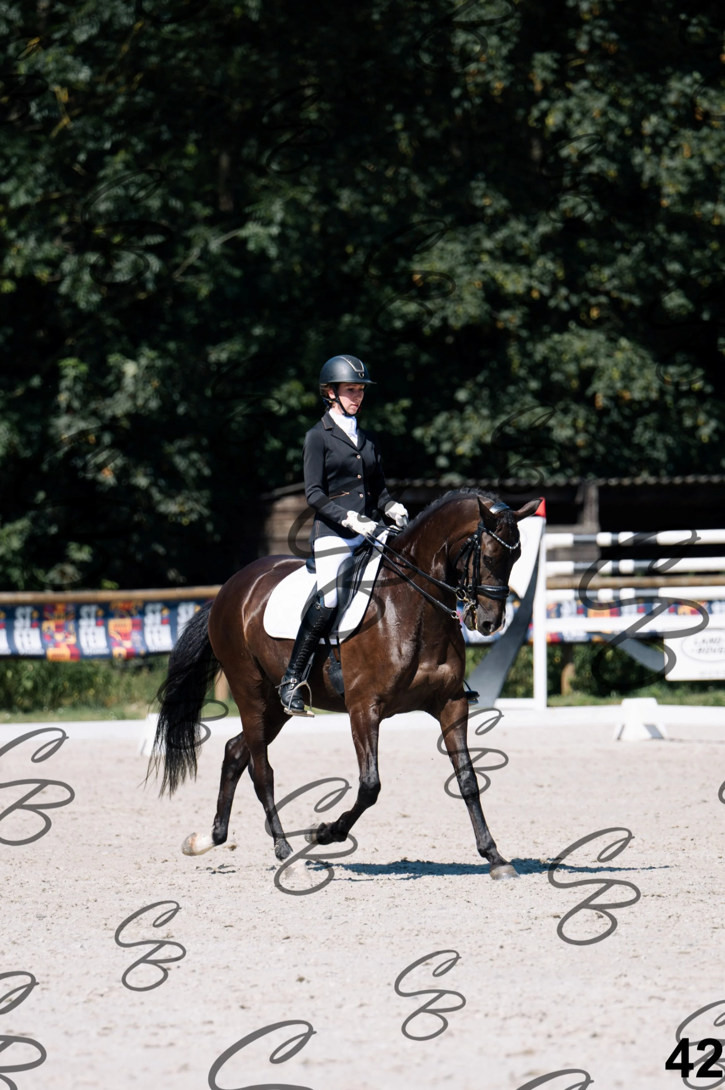 2026.07.12 - Niveau 4 - N4.3-42.jpg