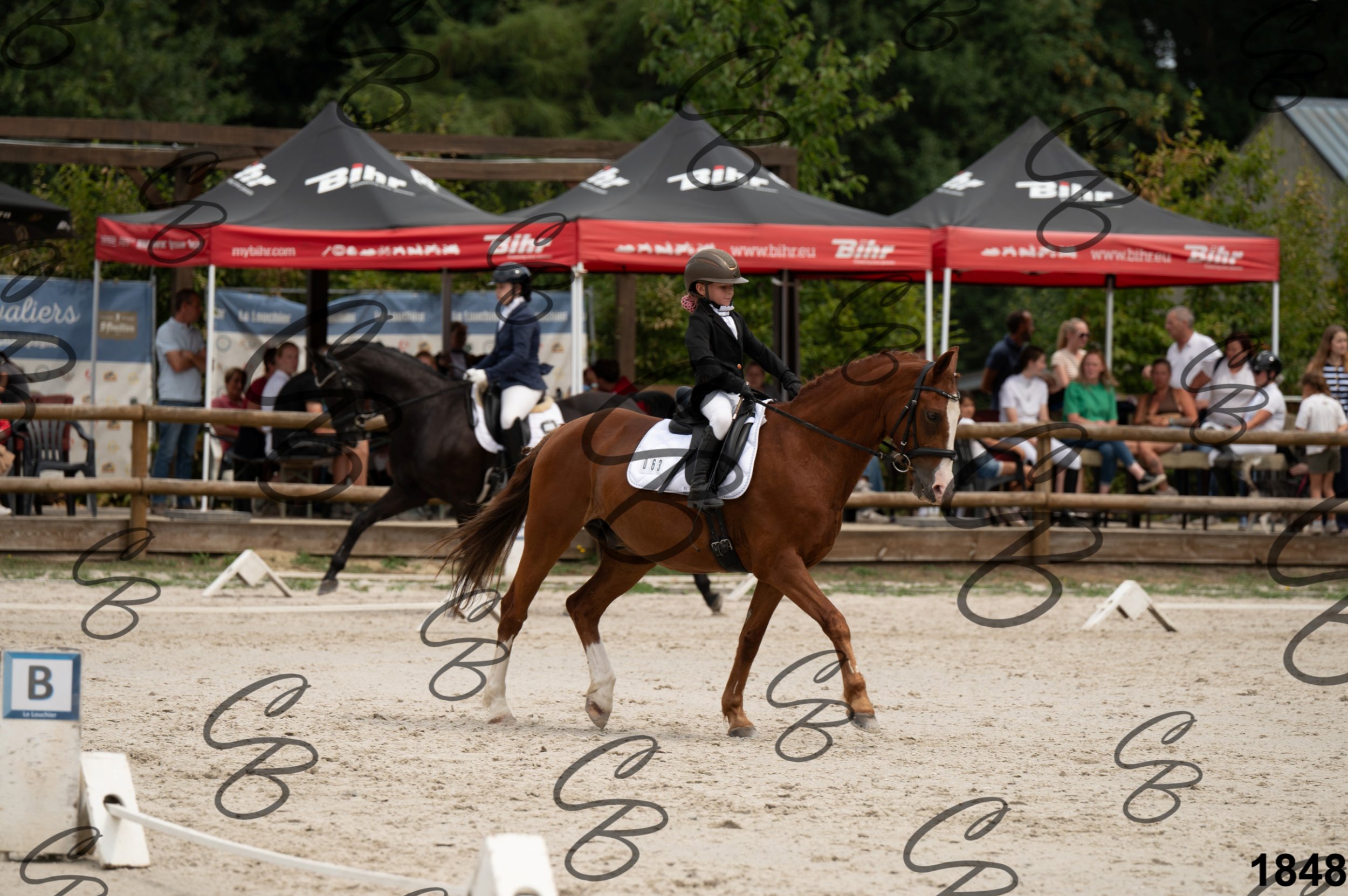 2026.08.16 - Louchier - GHO-34.jpg
