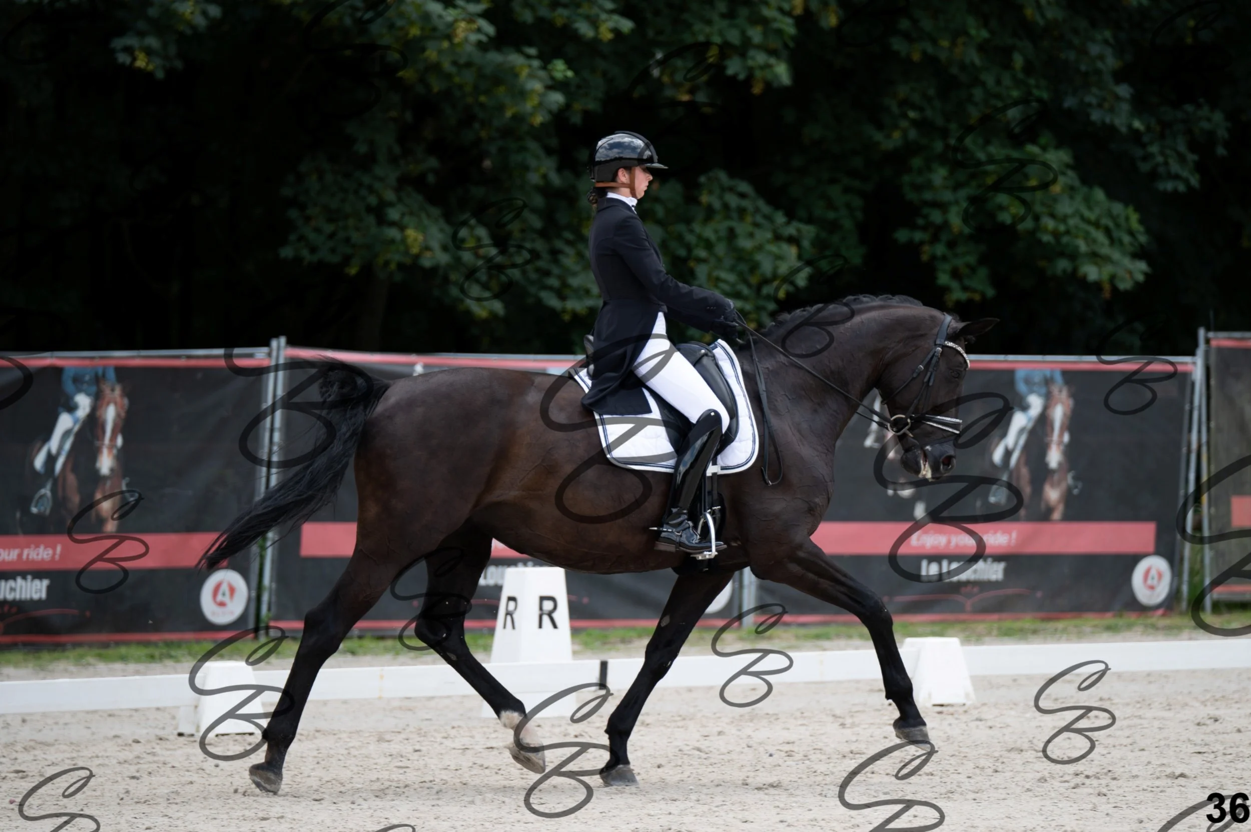 2026.07.04 - 4 Caro Van Sinay-2.jpg