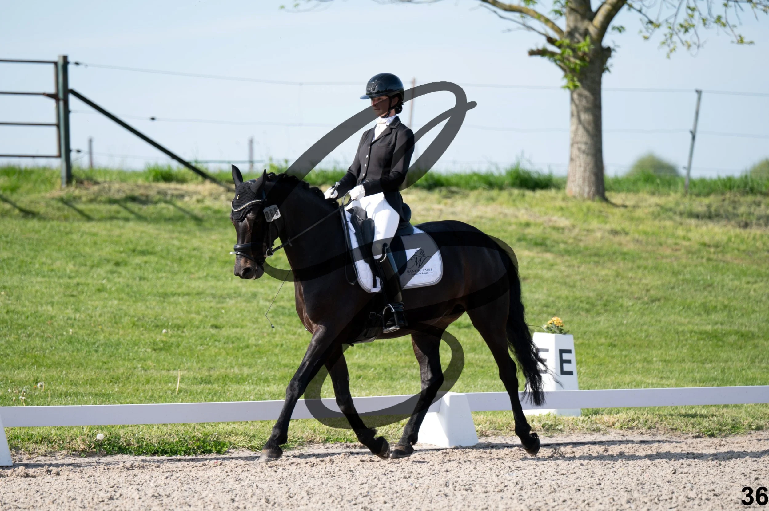 2026.04.26 - Manon - Grand Reng-36.jpg