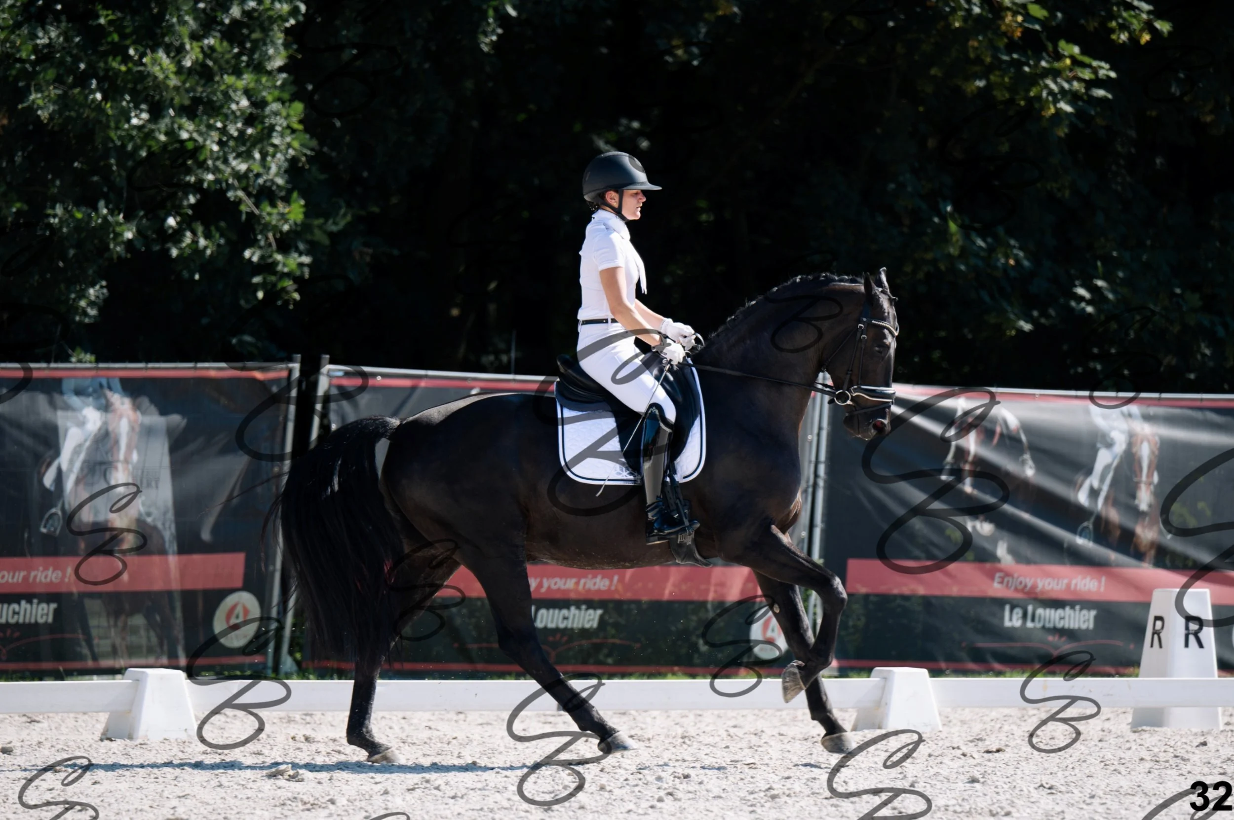 2026.07.12 - Jeunes chevaux - FEI 5YH Preliminary Test-32.jpg