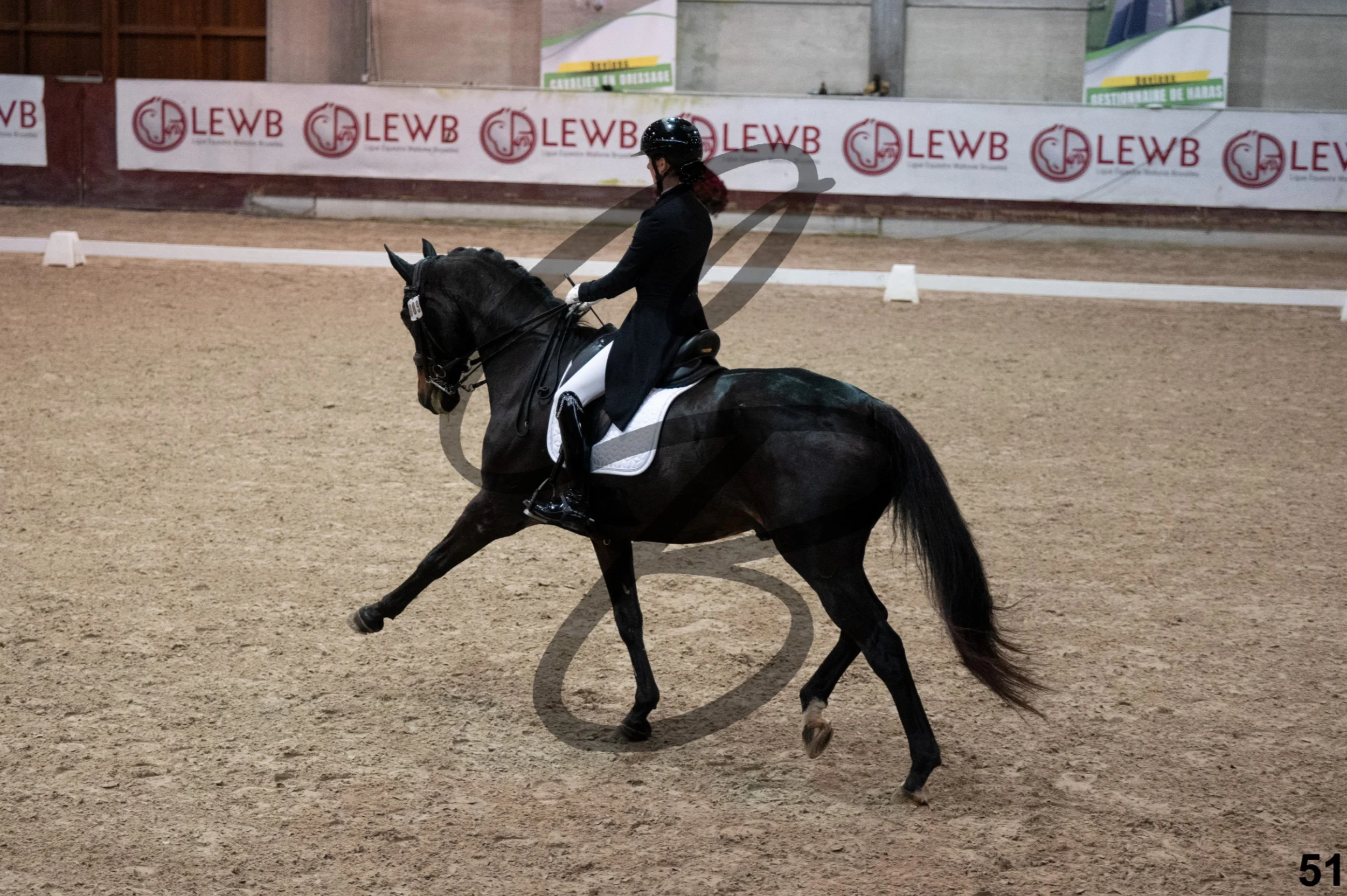 2025.11.01 - Manon-51.jpg