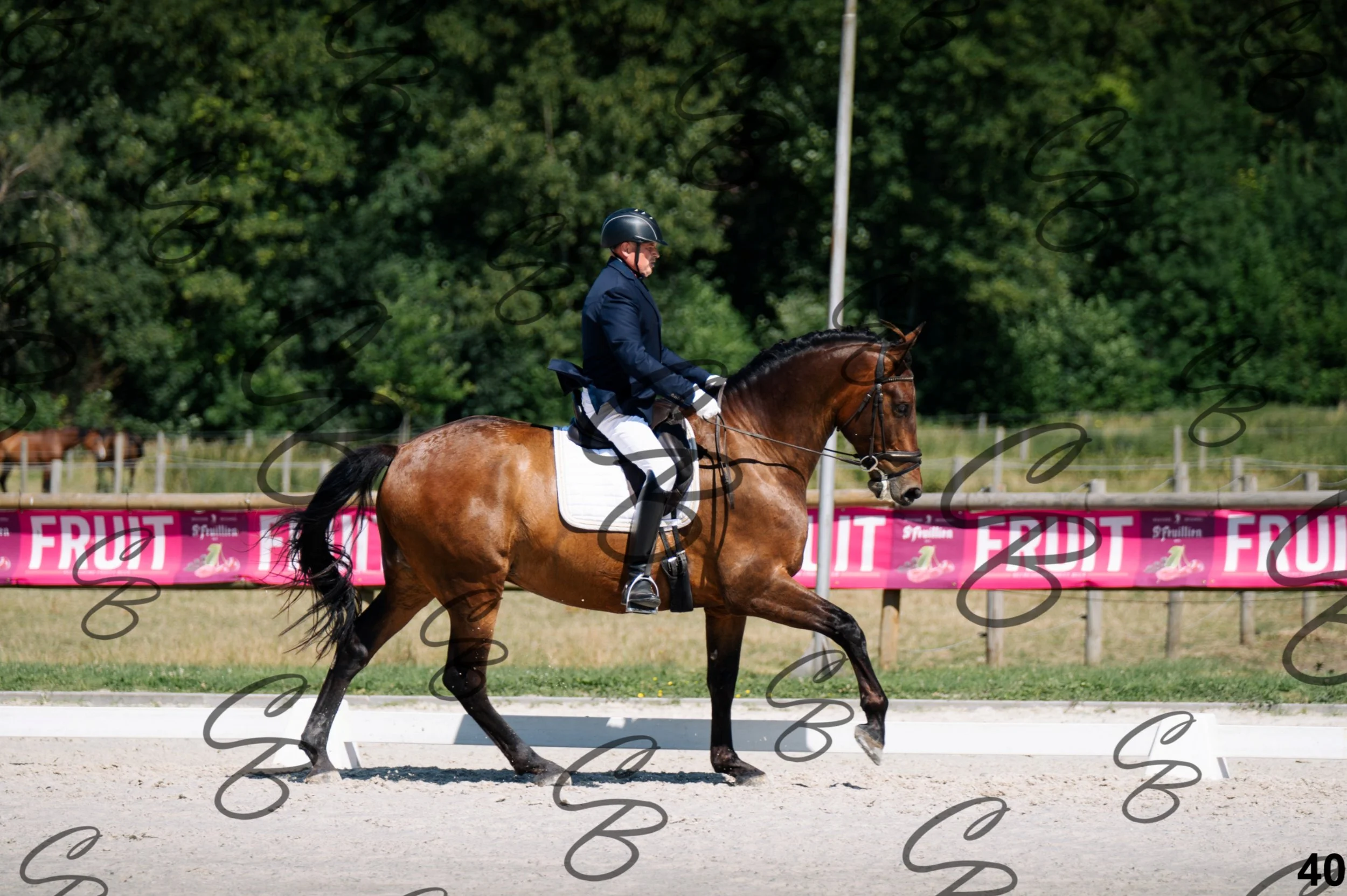 2026.07.11 - Golega - Niveau 1 - GOLEGA-40.jpg