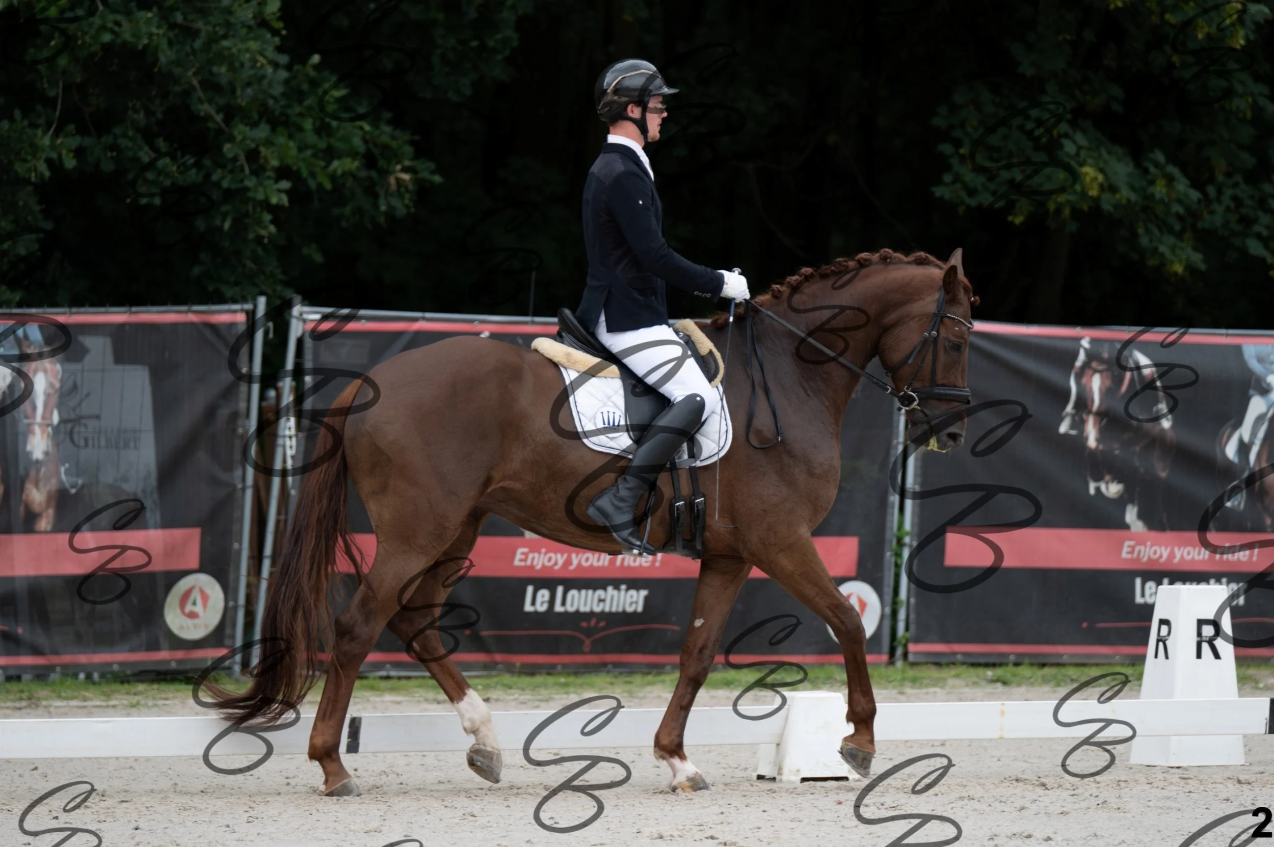 2026.07.04 - 1 Robin robert-2.jpg