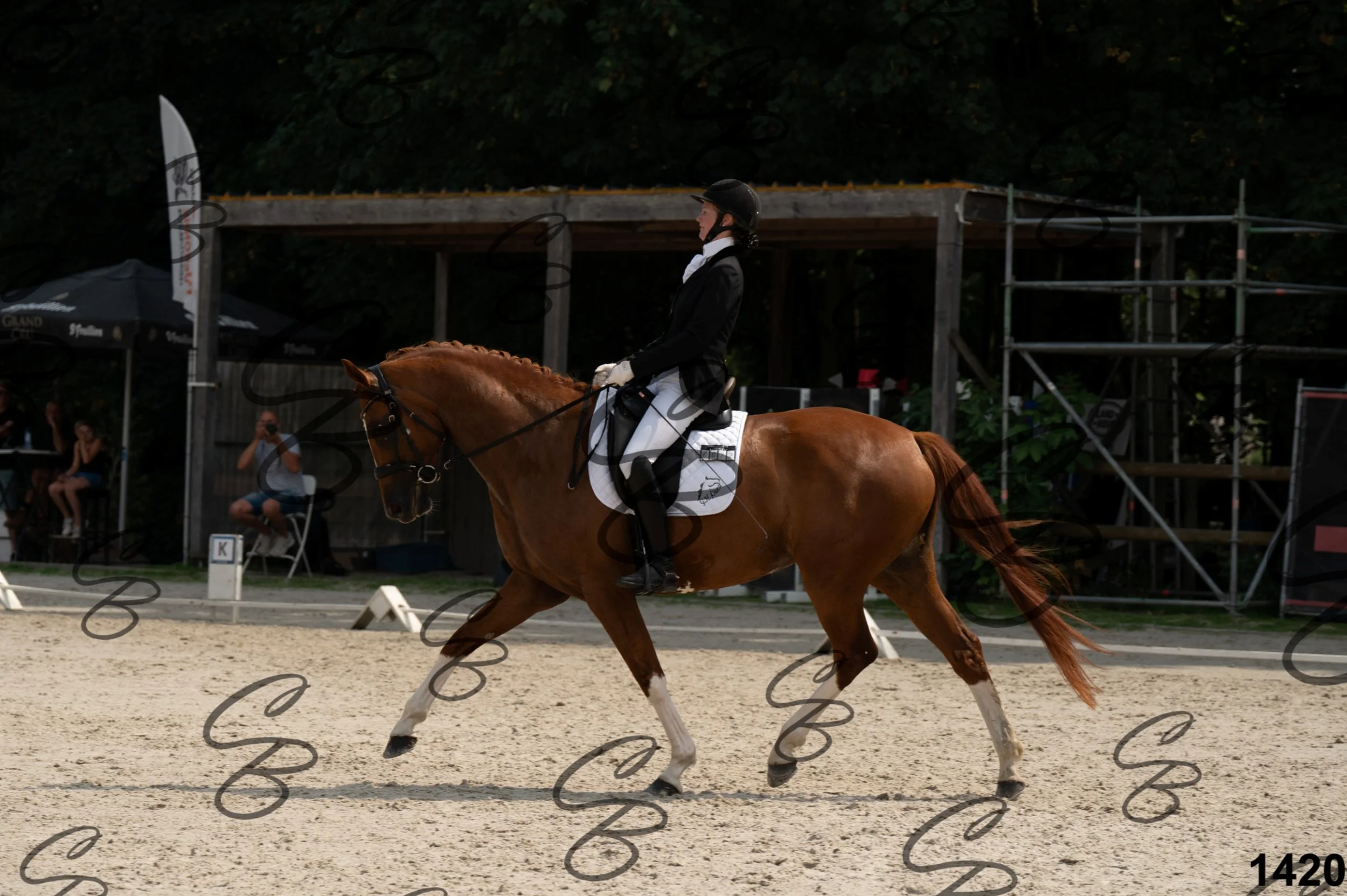 2026.08.15 - Louchier - GHO-1513.jpg
