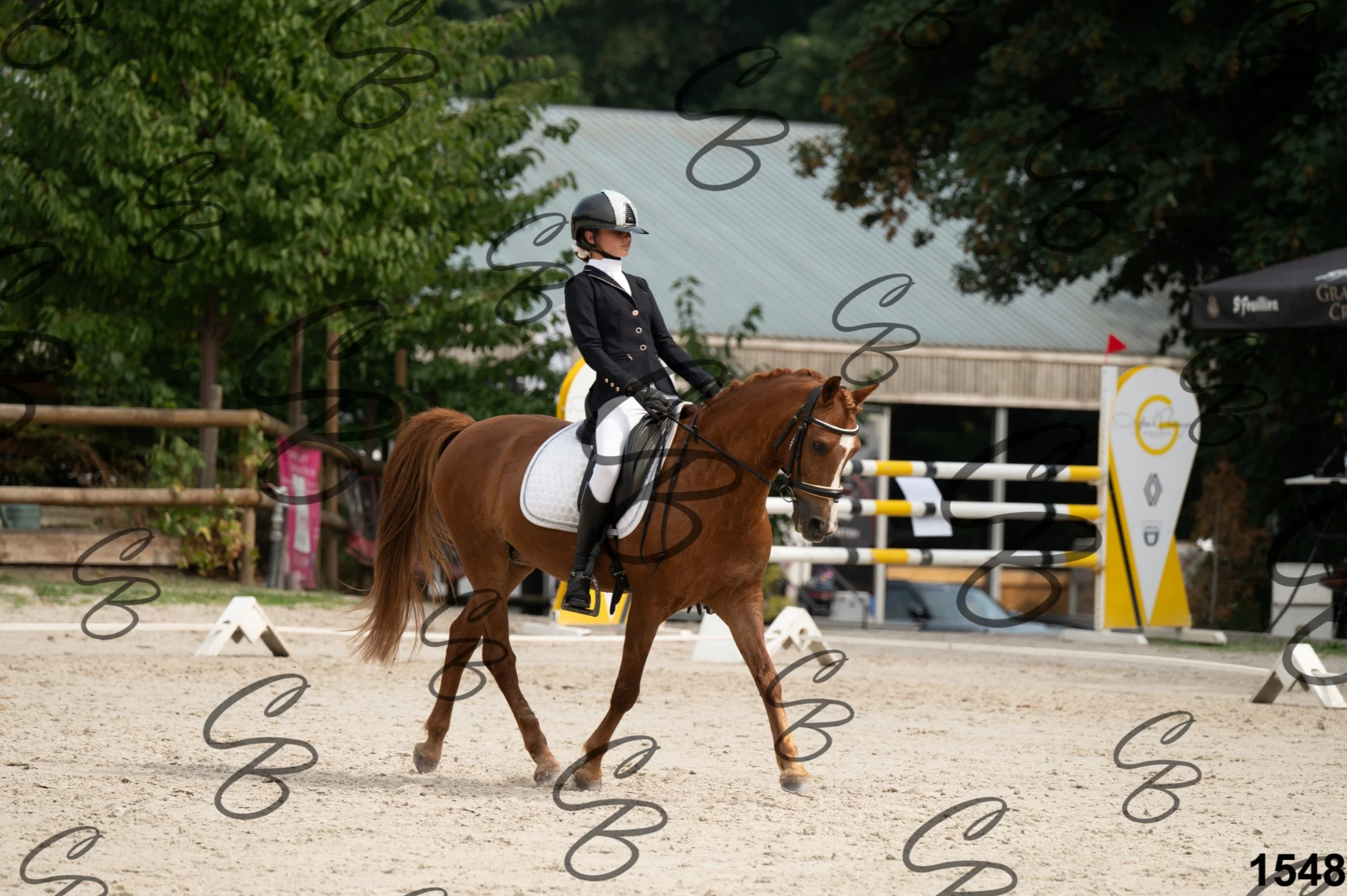 2026.08.15 - Louchier - GHO-1743.jpg