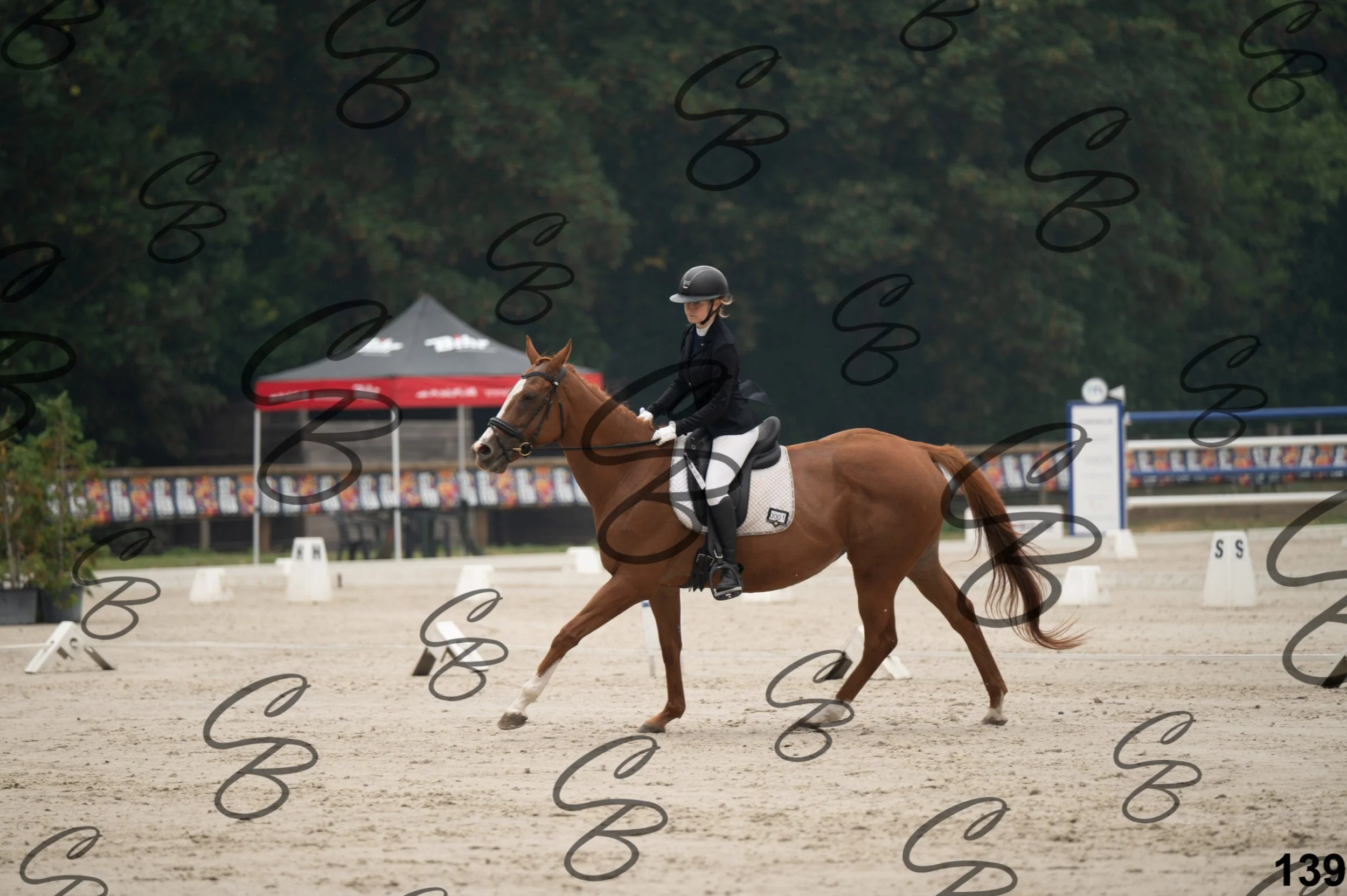 2026.08.15 - Louchier - GHO-215.jpg