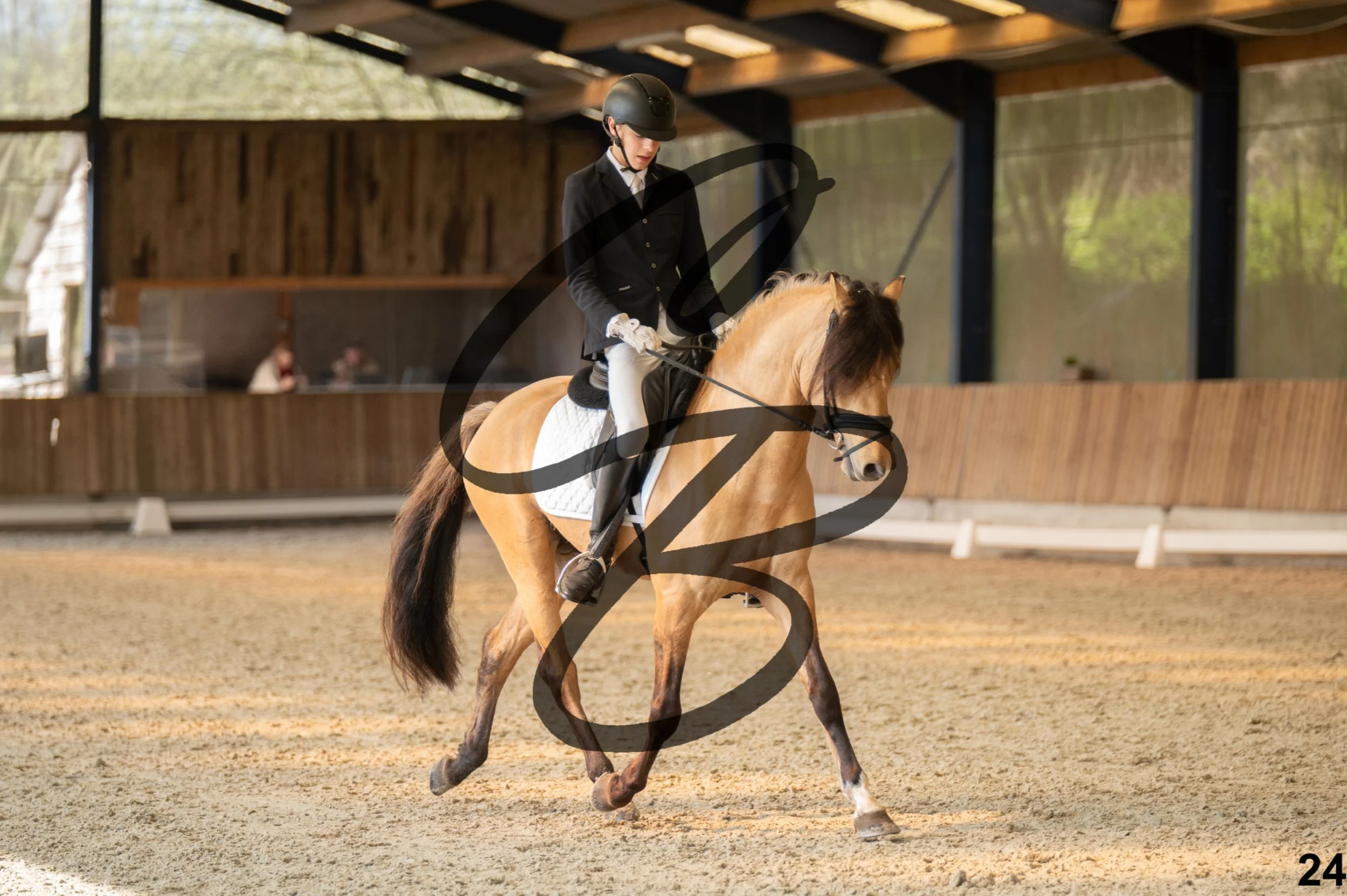 2026.03.22 - Niv3 - pony team test-24.jpg