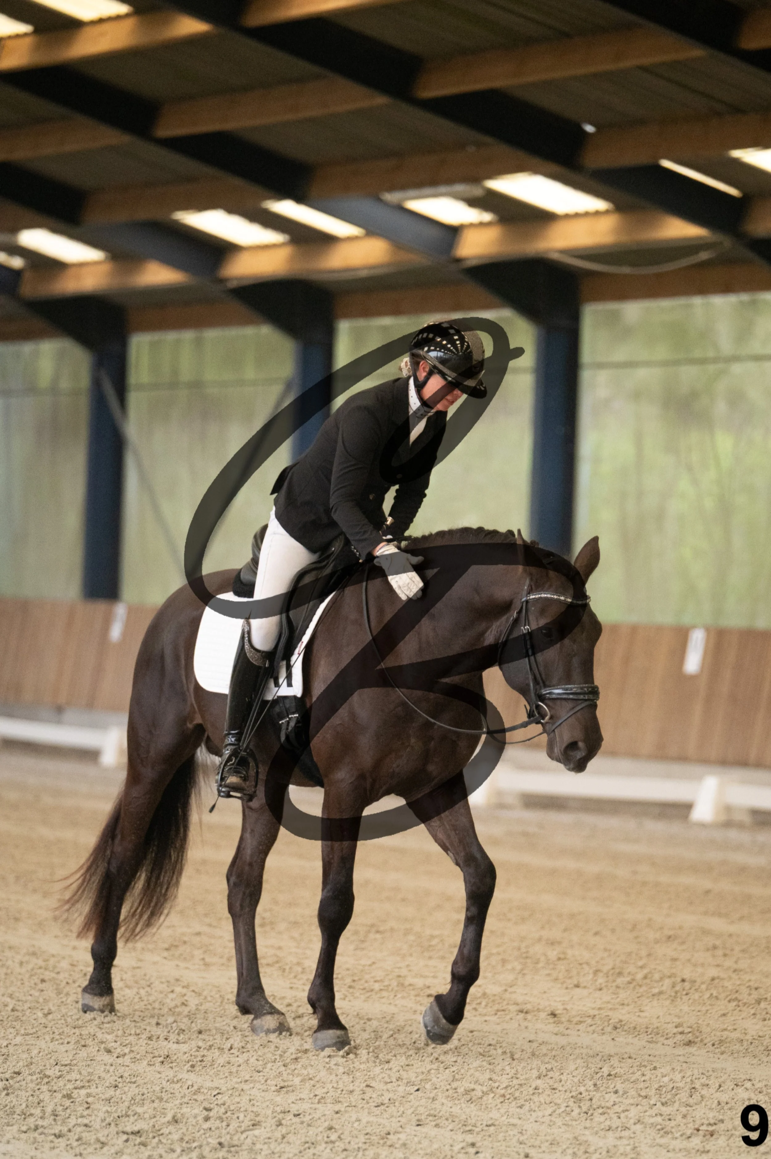 2026.03.22 - jeunes chevaux - 4 ans-9.jpg