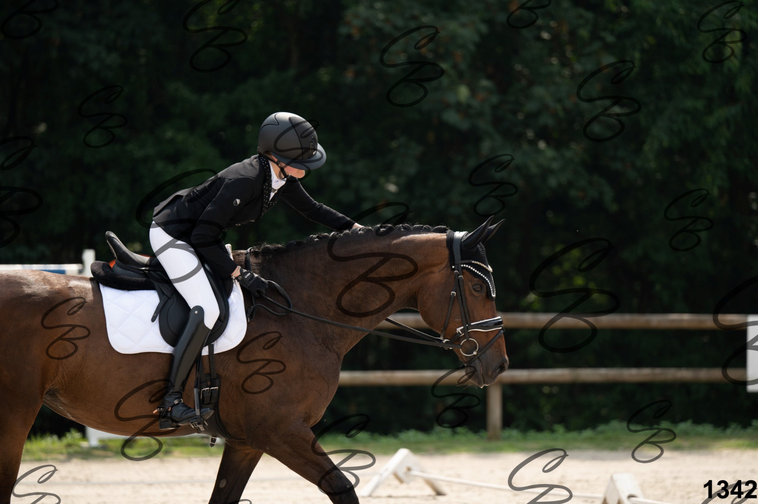 2026.08.15 - Louchier - GHO-1317.jpg