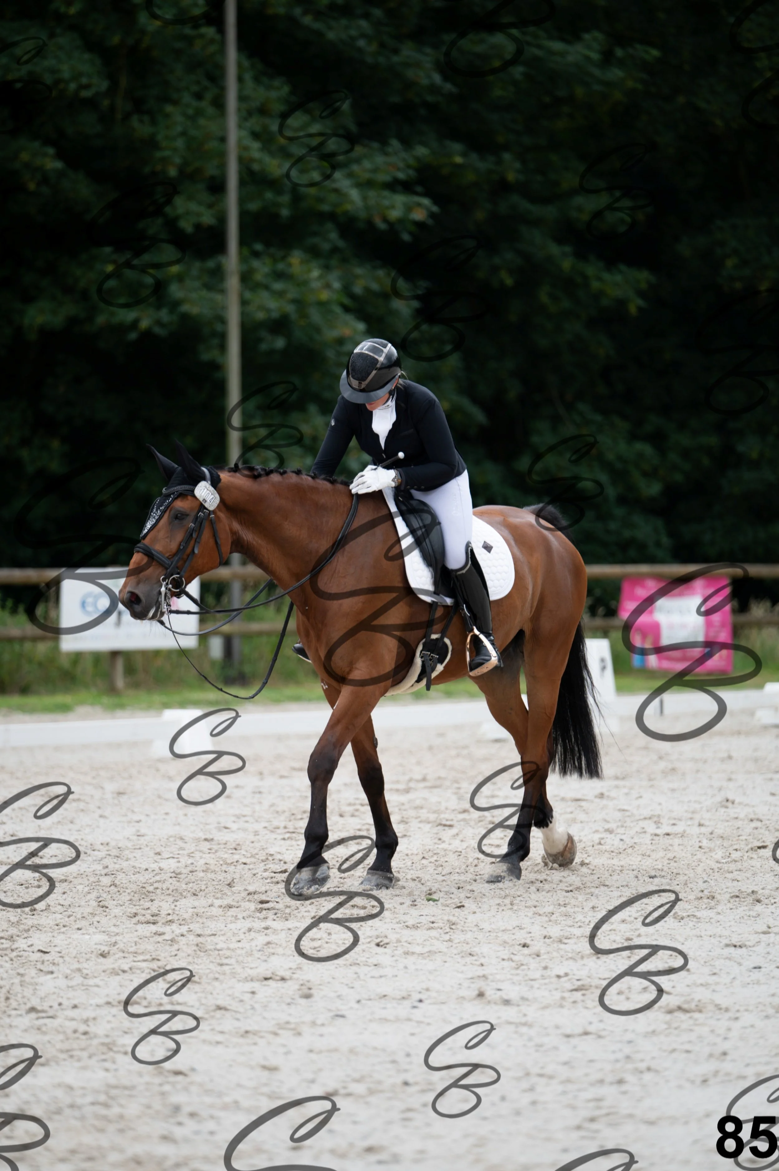 2026.07.04 - 11 Gaelle Faucon-9.jpg