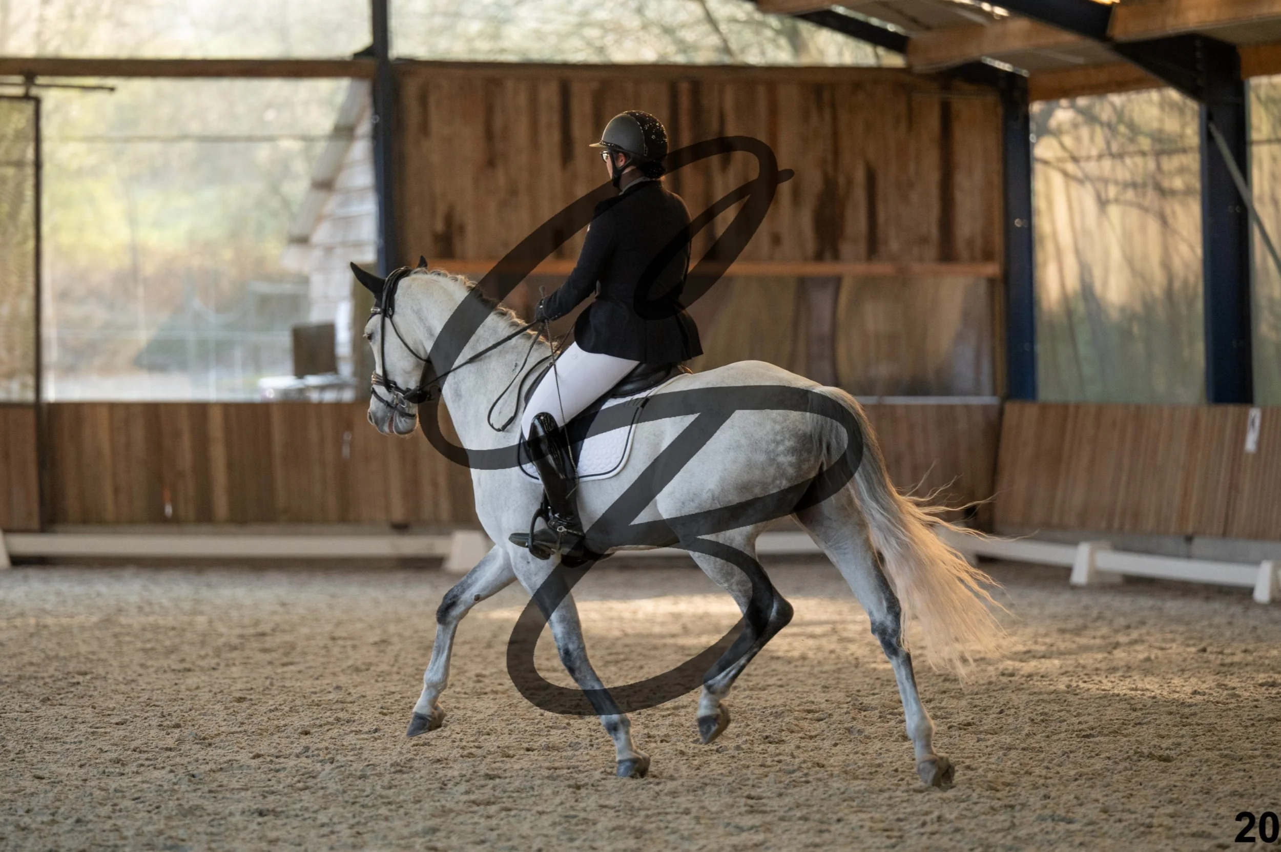 2026.03.22 - niv4.2-20.jpg