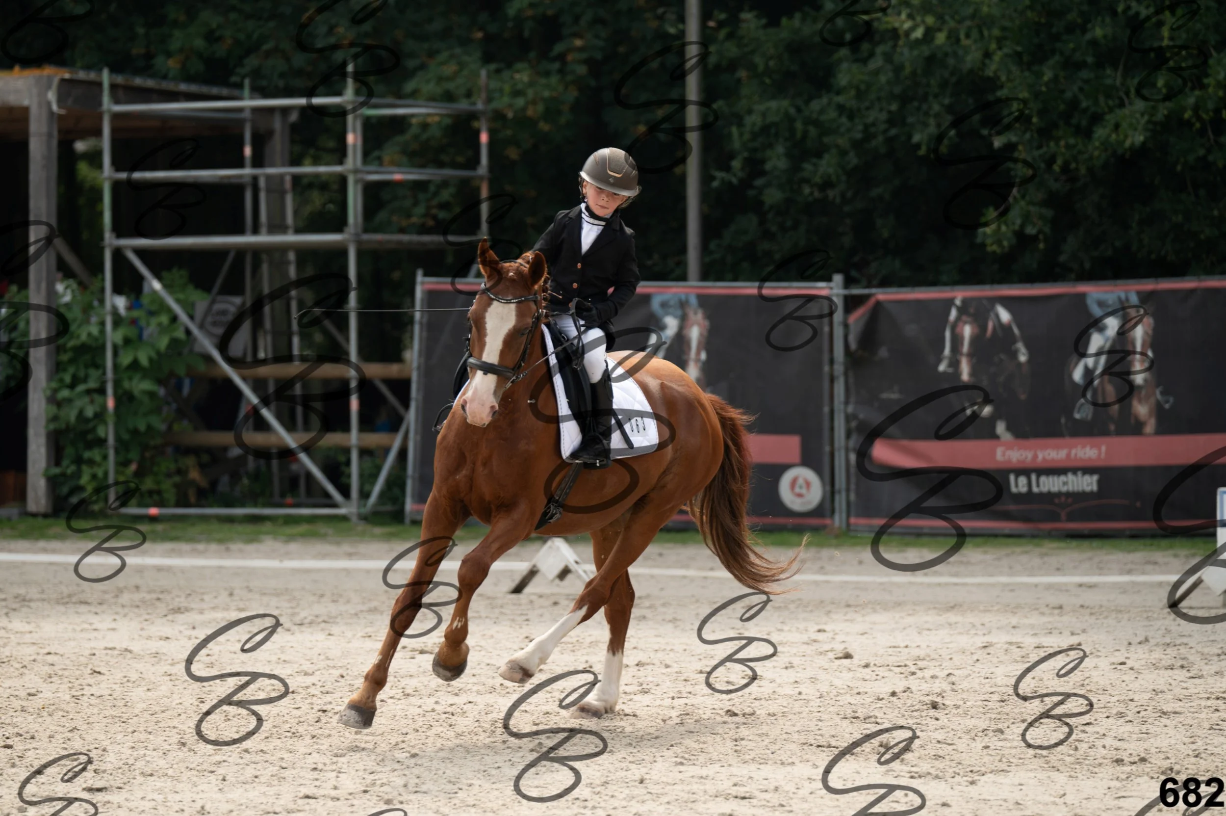 2026.08.15 - Louchier - GHO-782.jpg
