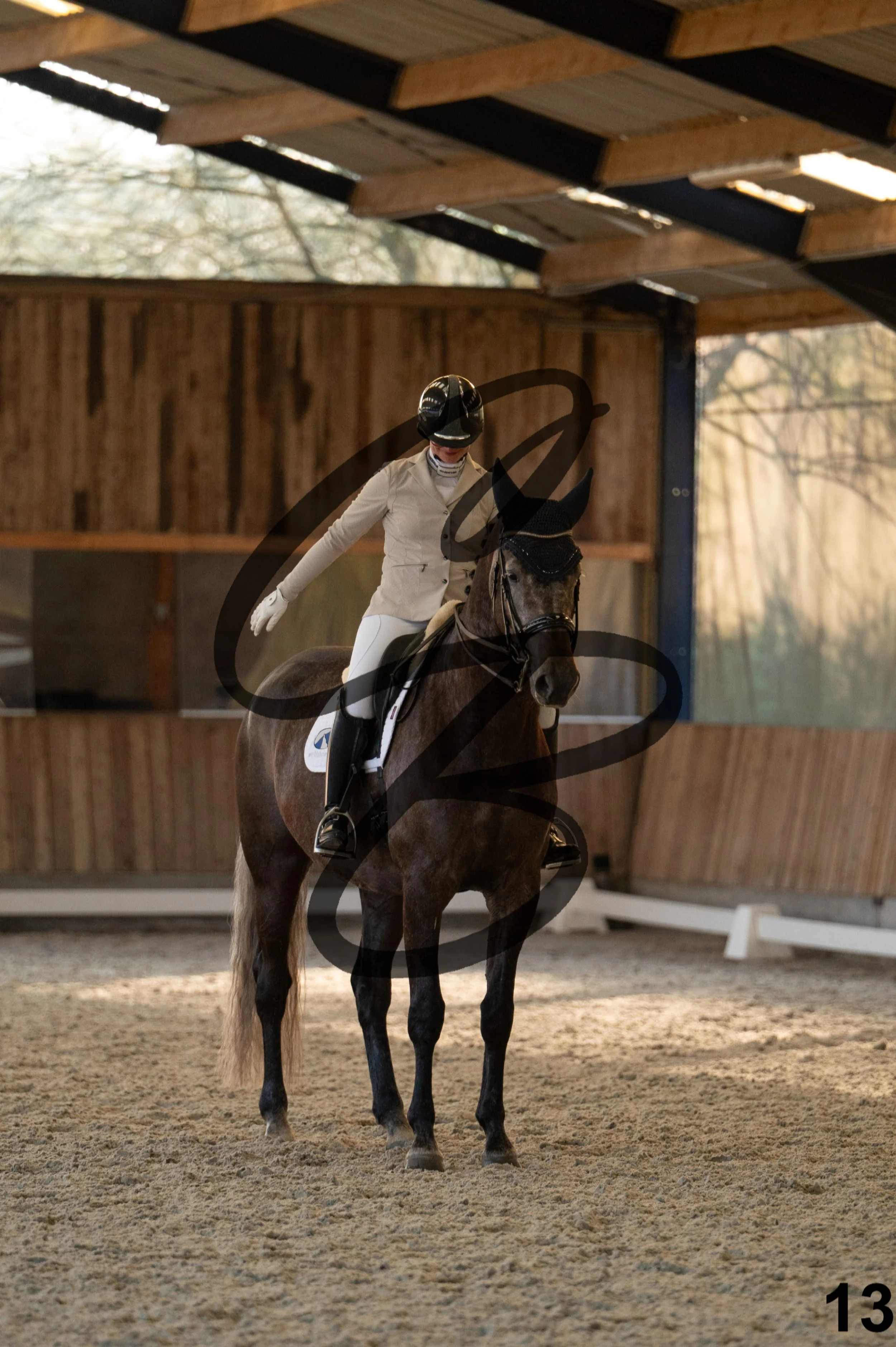 2026.03.22 - niv4.2-13.jpg