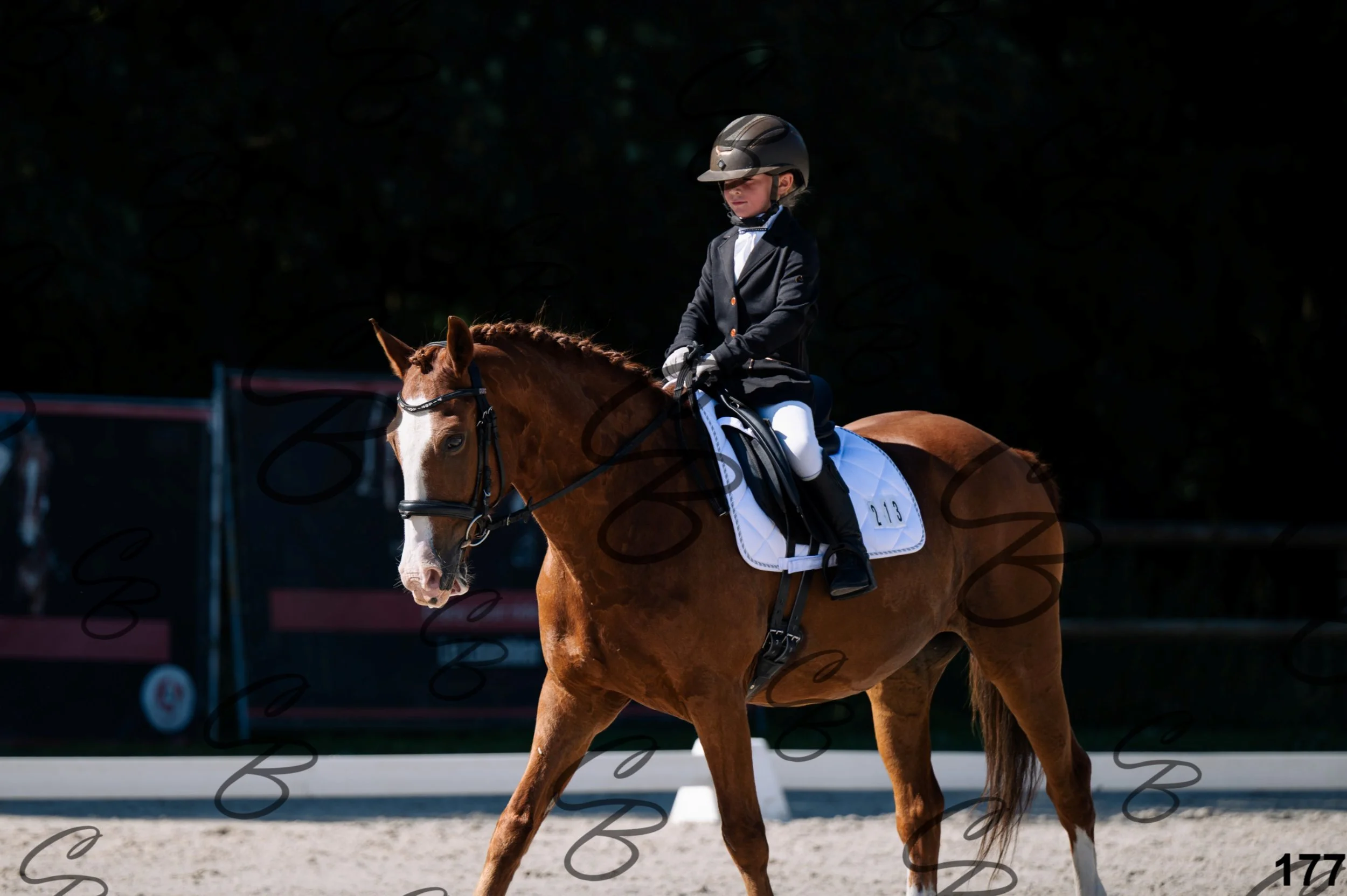2026.07.12 - 106 Niveau Initiation Poneys - Ini.6-4-2.jpg