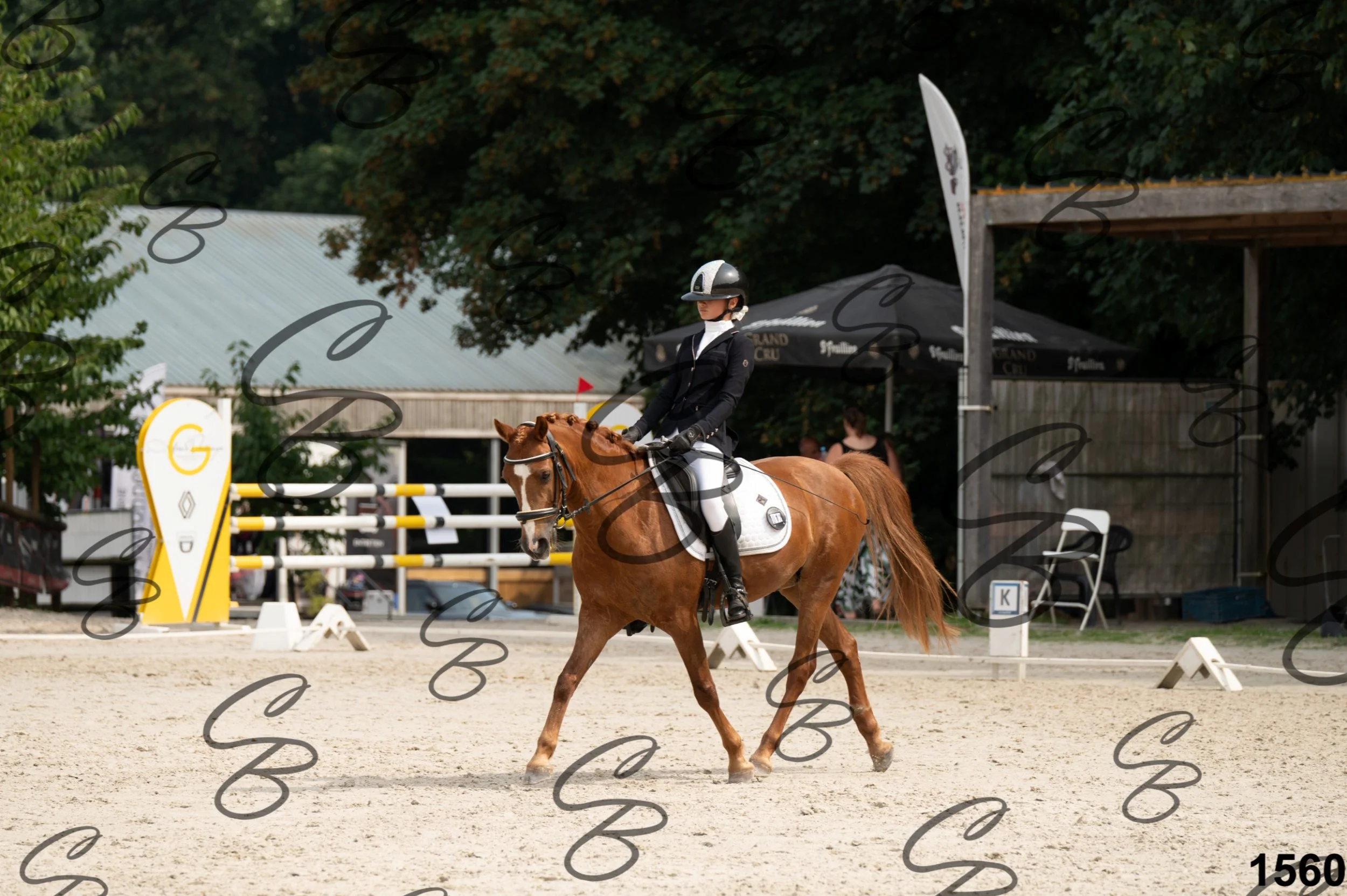2026.08.15 - Louchier - GHO-1756.jpg