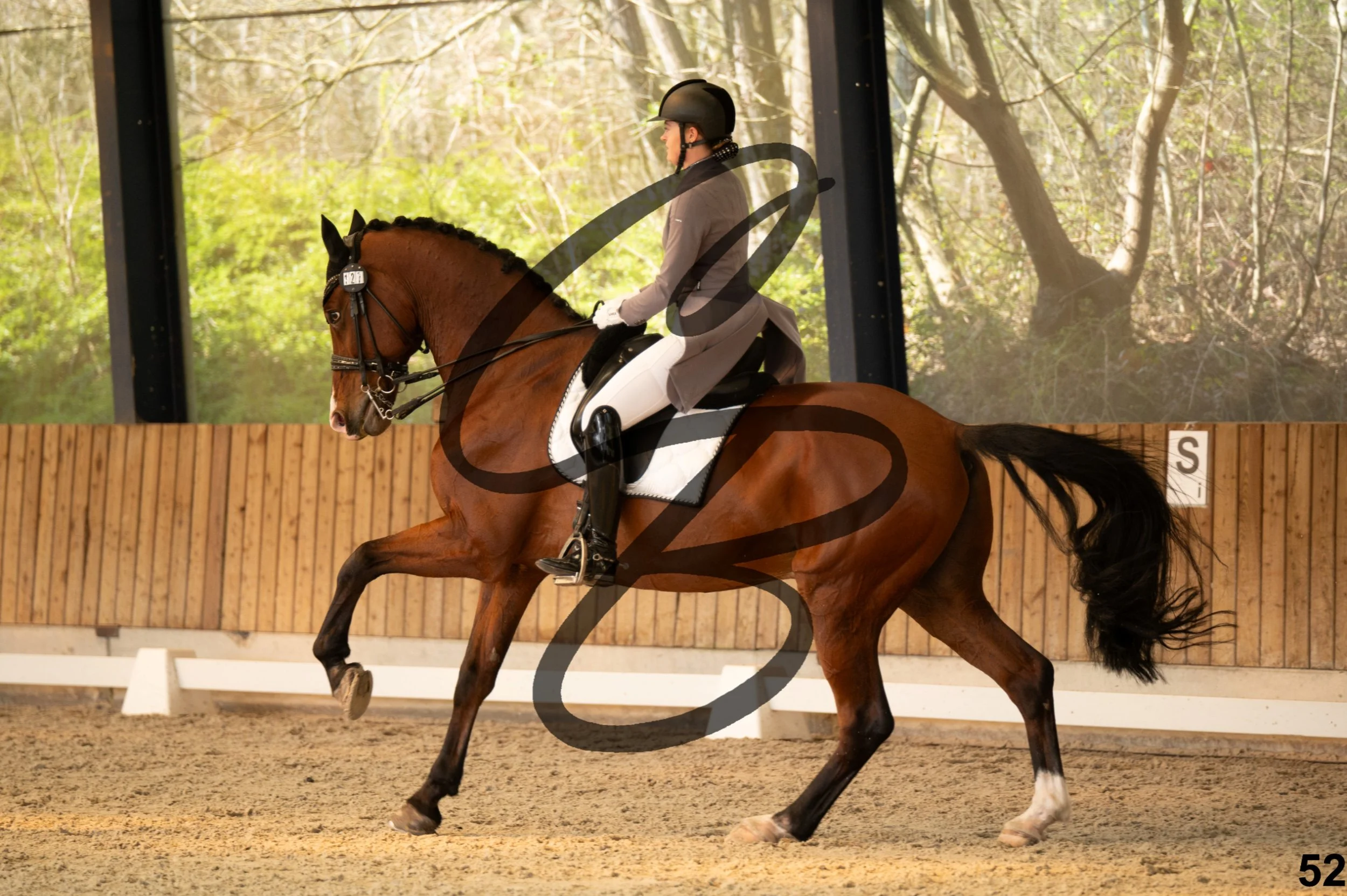 2026.03.22 - Niv5 - Young rider team-52.jpg