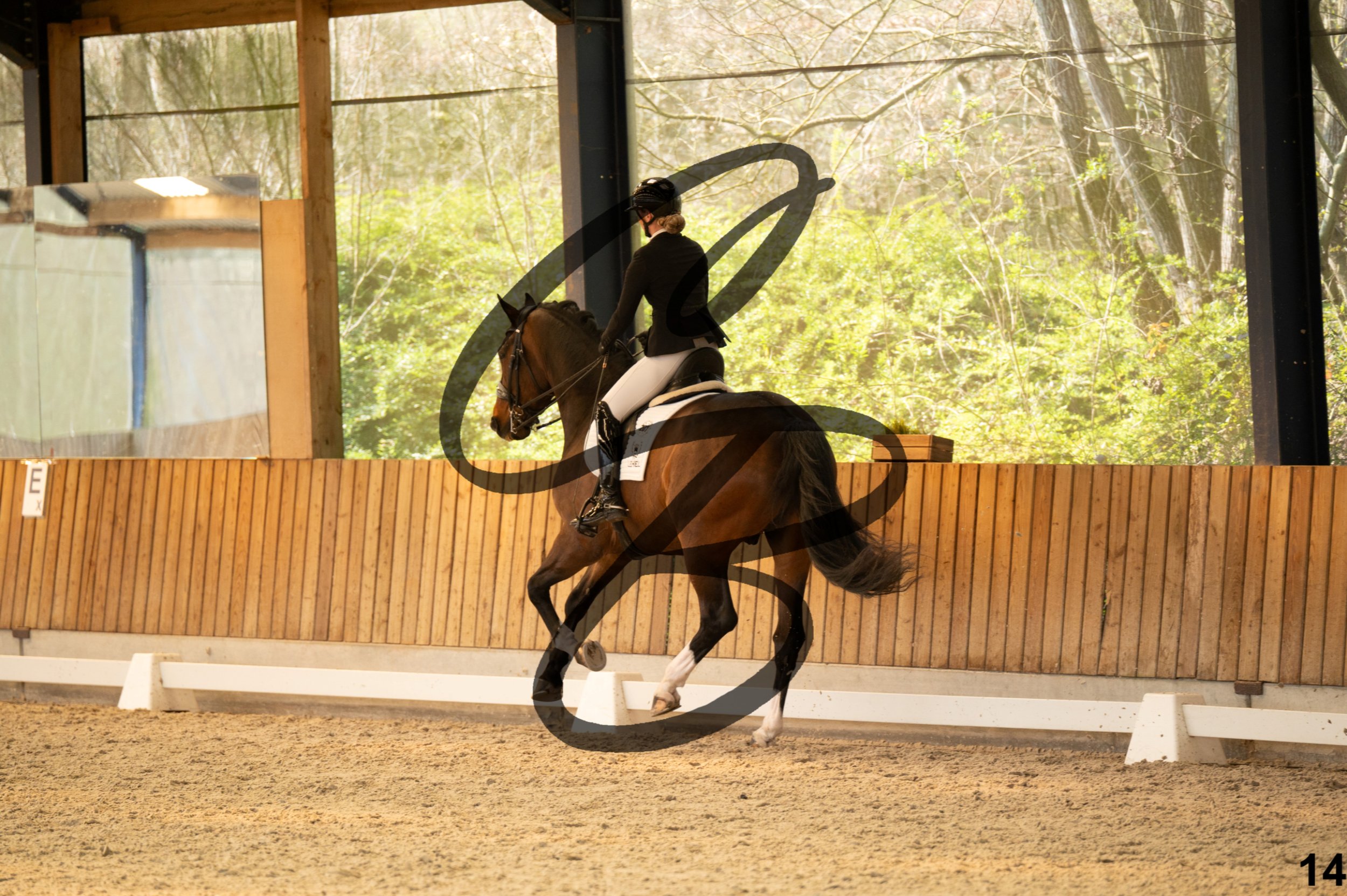 2026.03.22 - Grade 5 - grand prix test B-14.jpg