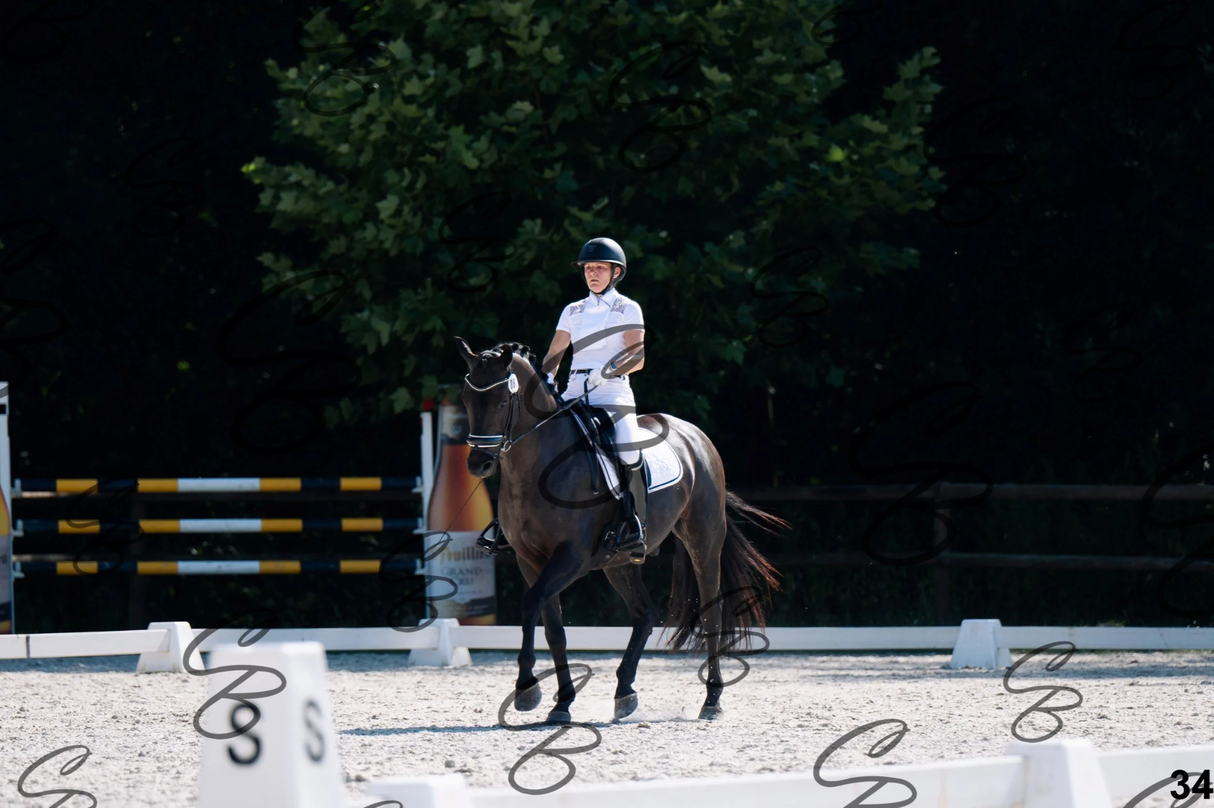 2026.07.12 - Jeunes chevaux - FEI 5YH Preliminary Test-34.jpg