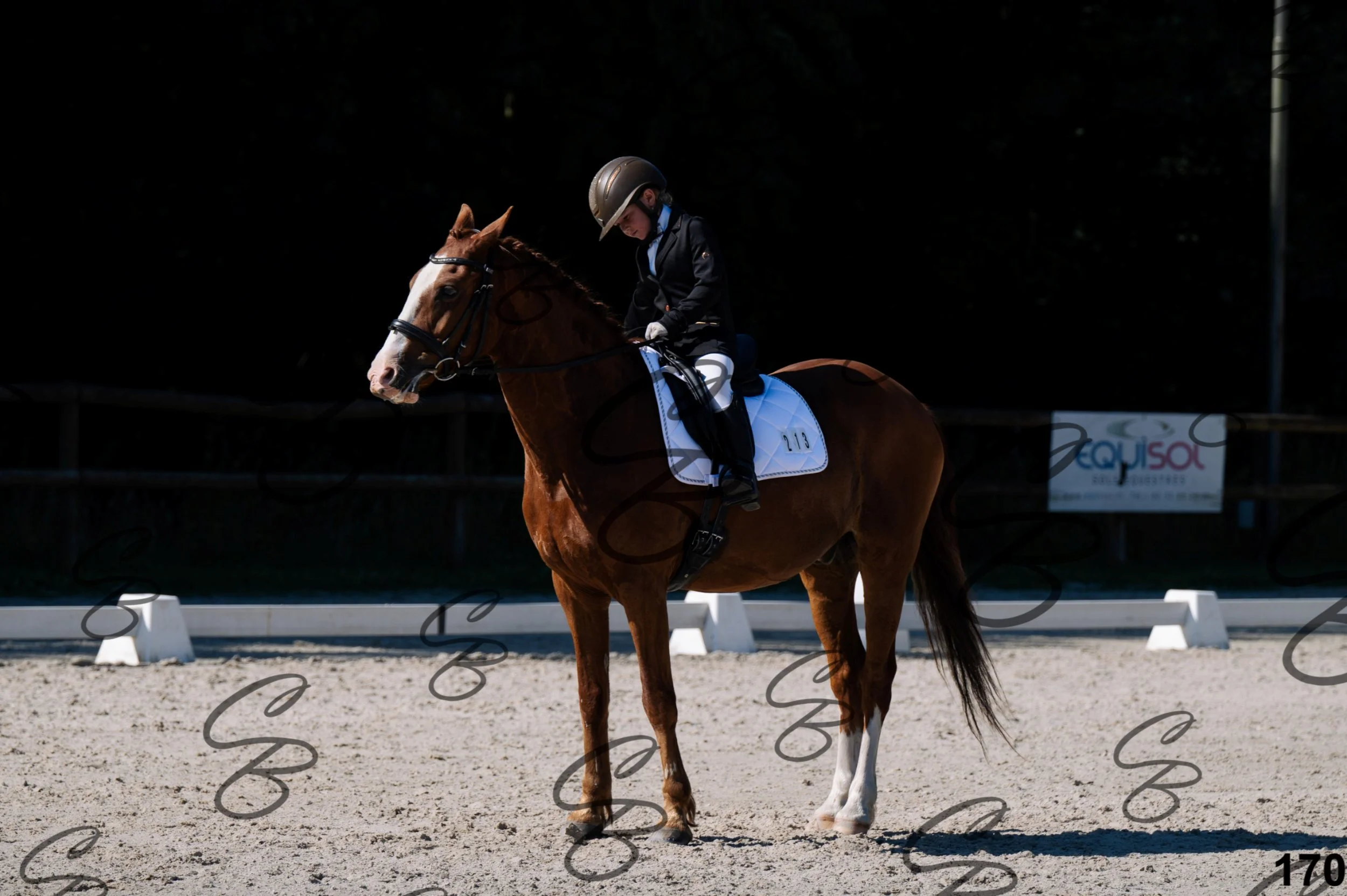 2026.07.12 - 106 Niveau Initiation Poneys - Ini.6-1.jpg