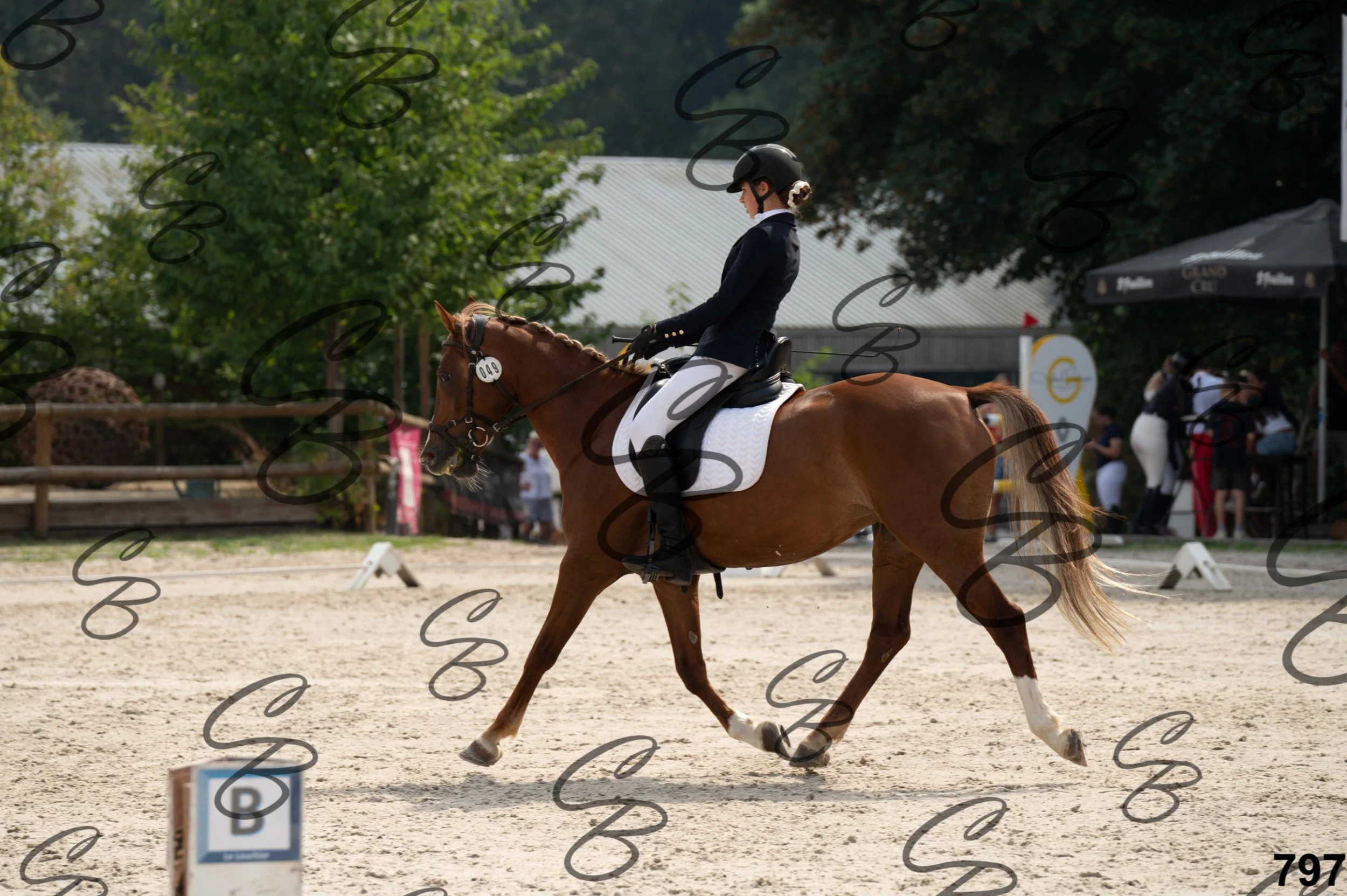 2026.08.15 - Louchier - GHO-919.jpg