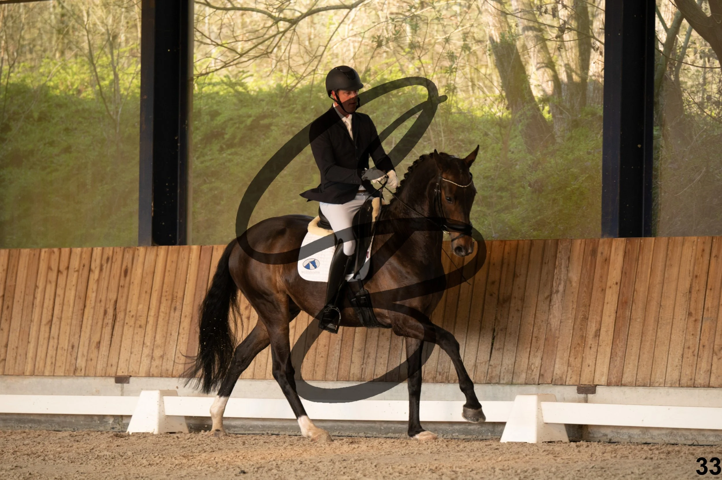 2026.03.22 - jeunes chevaux - 6ans-33.jpg