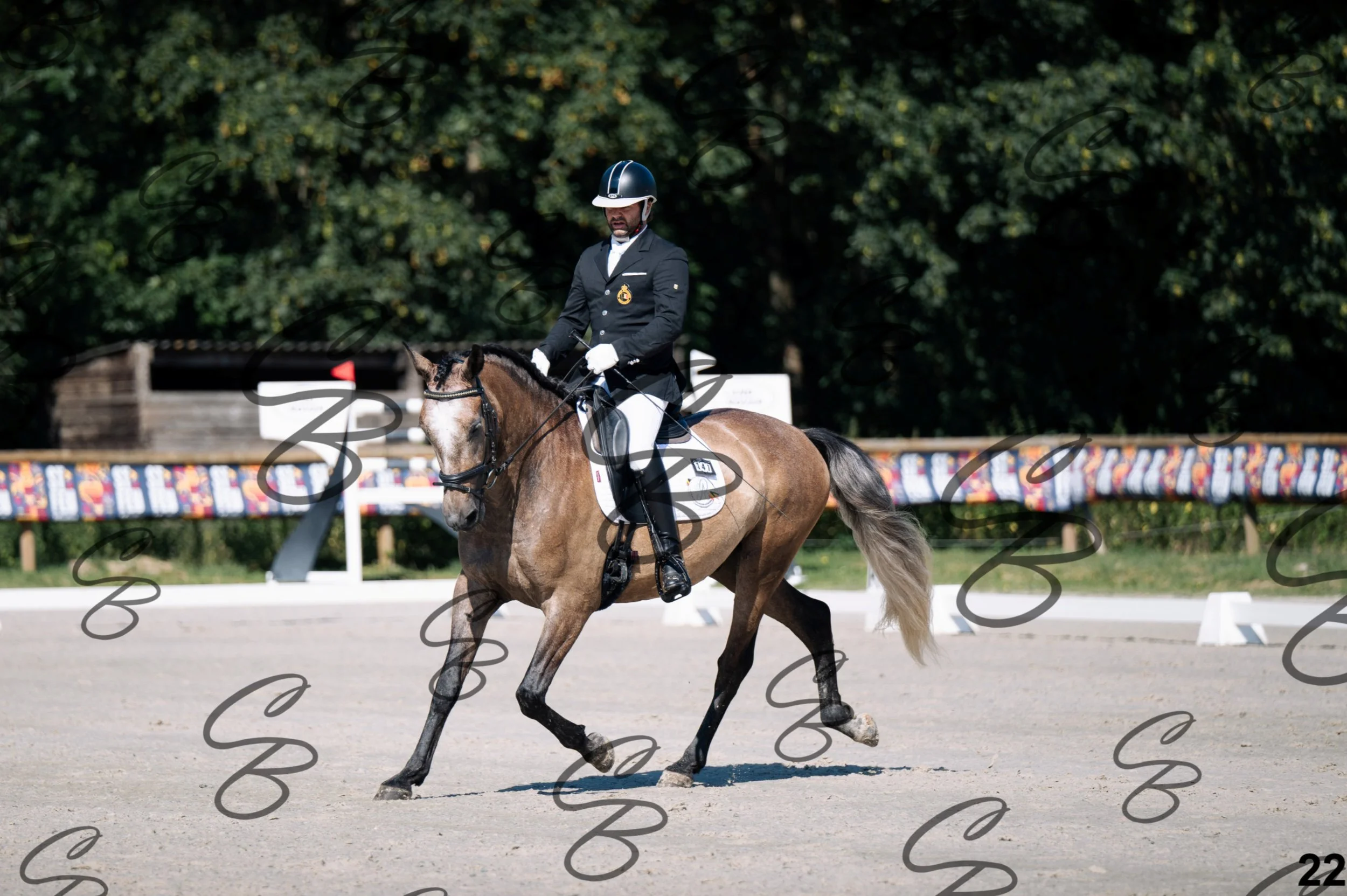 2026.07.11 - 1 Primera - Jonge paarden - Jeunes chevaux -22.jpg