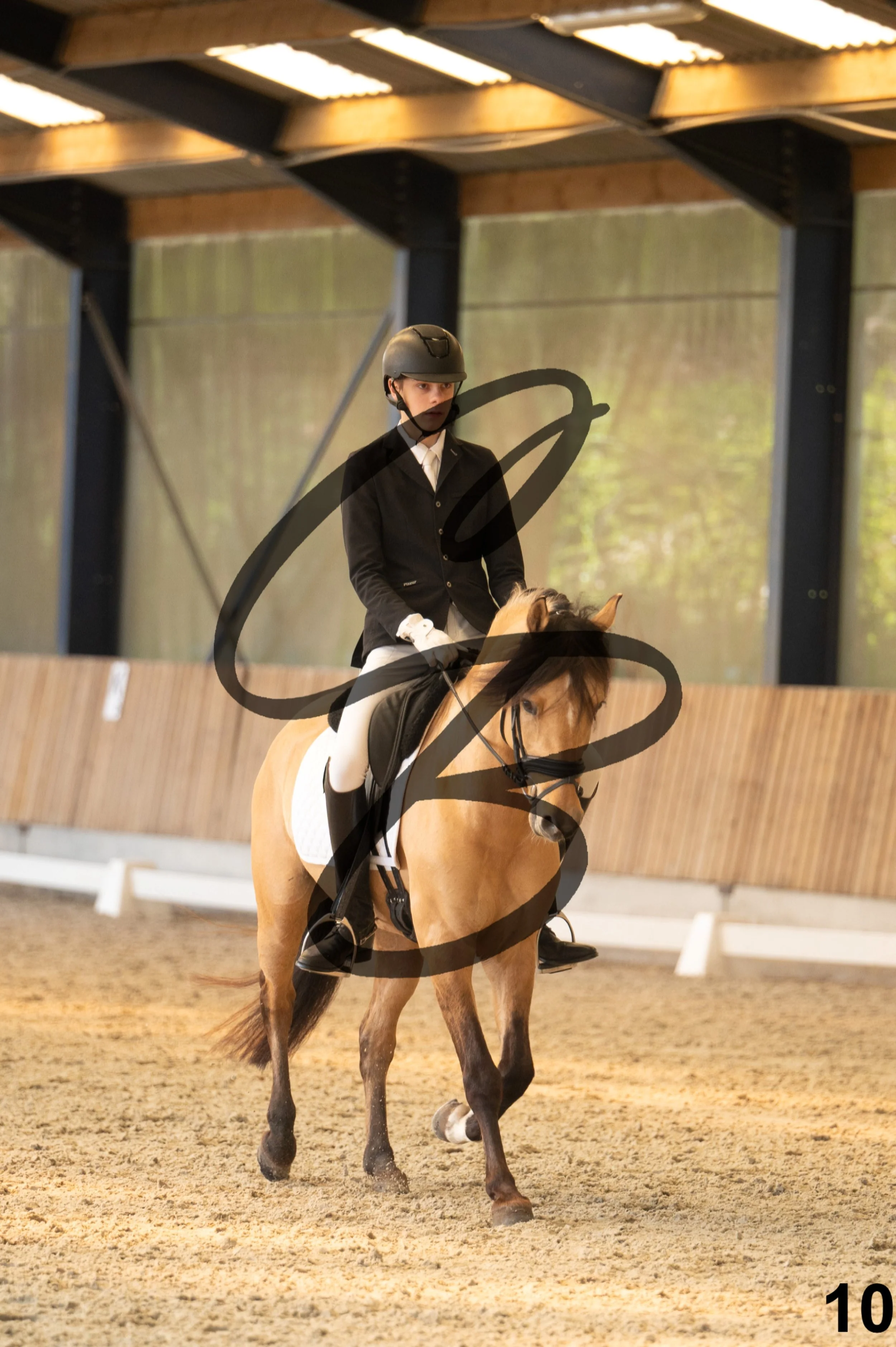 2026.03.22 - Niv3 - Pony individual test-10.jpg