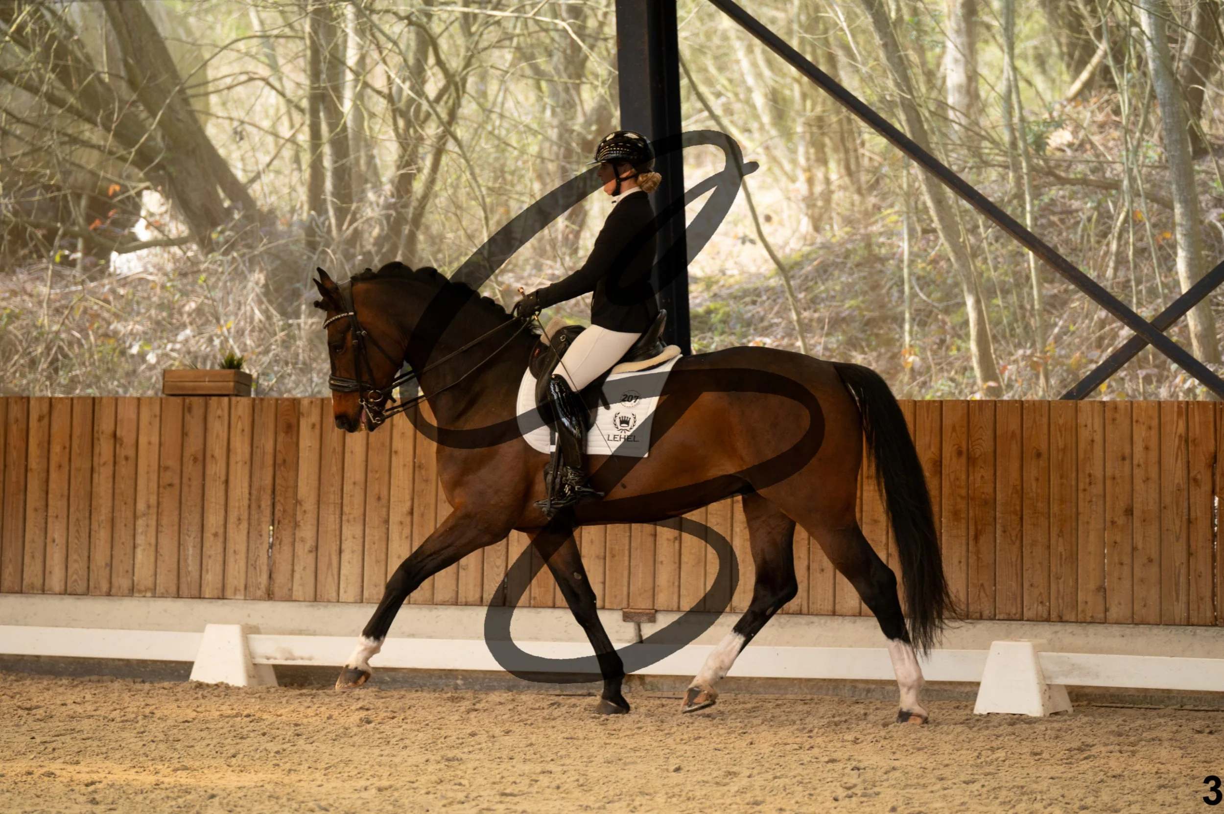 2026.03.22 - Grade 5 - grand prix test B-3.jpg