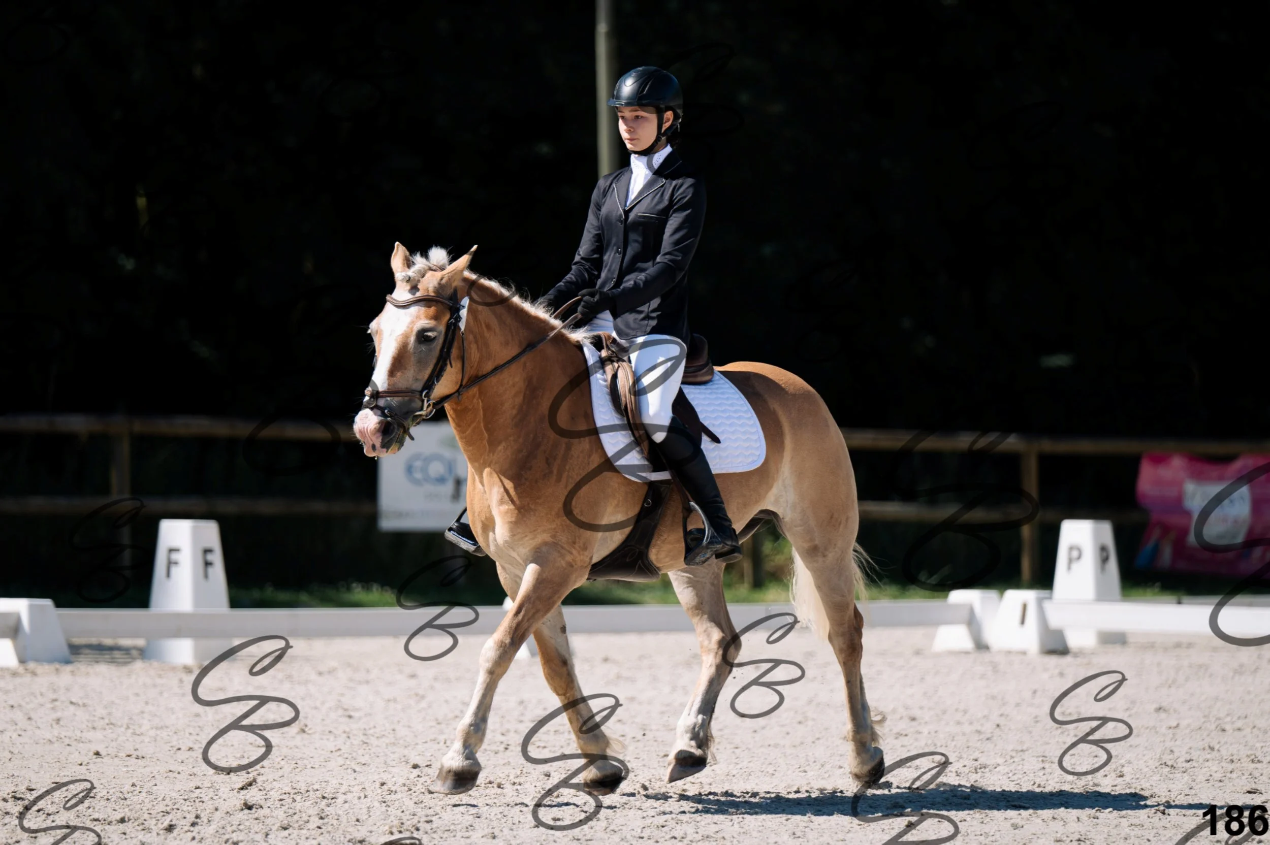 2026.07.12 -106 Niveau Initiation Poneys - Ini.6-3.jpg