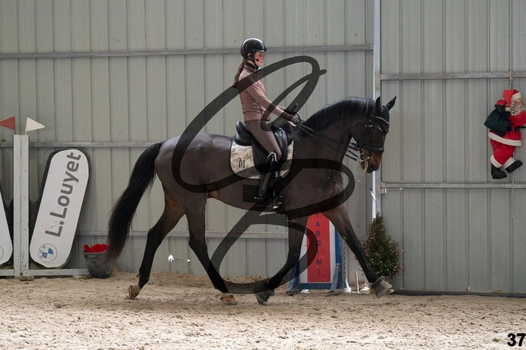 2025.12.06 - Manon&Dab-37.jpg