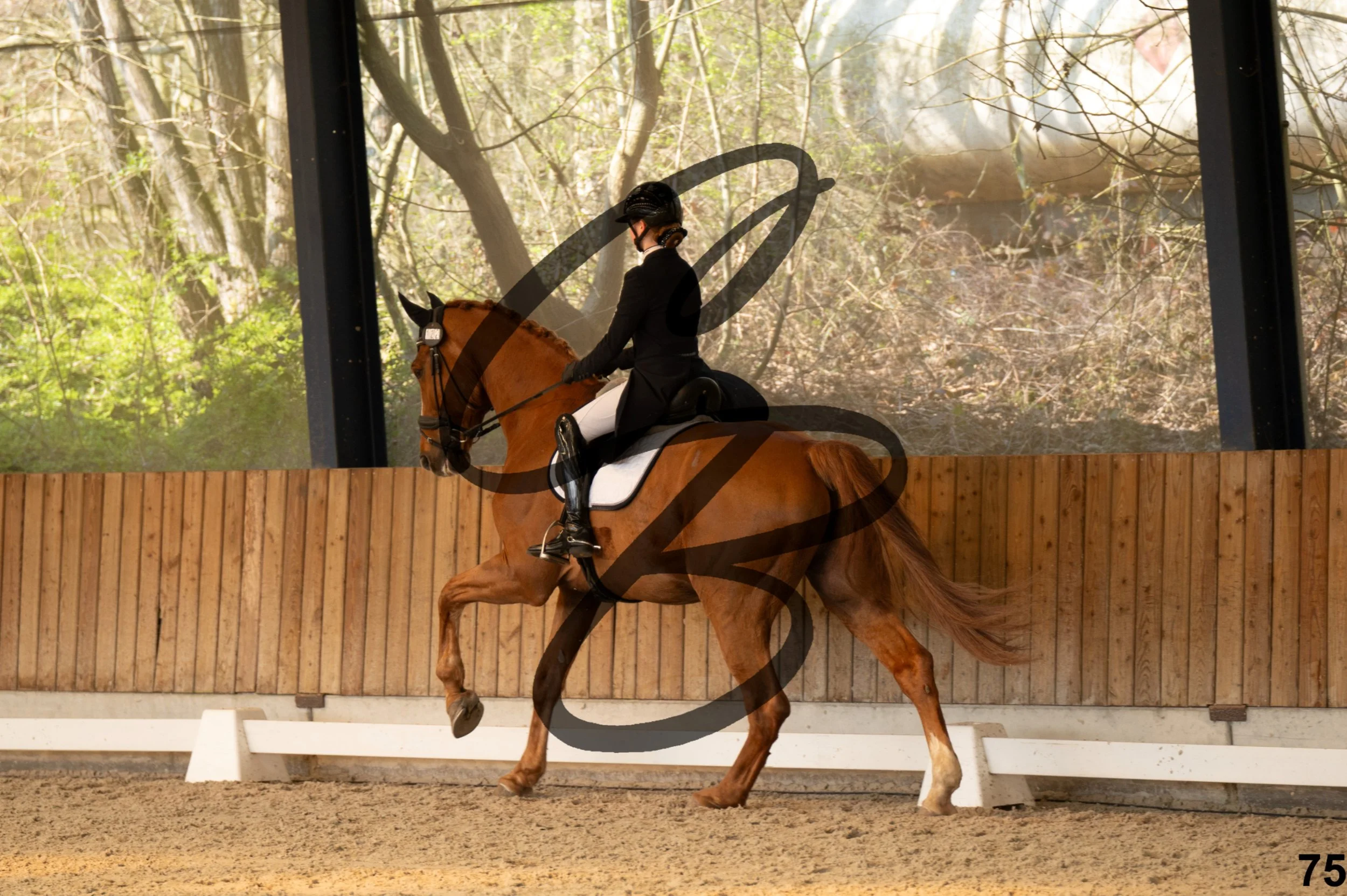 2026.03.22 - Niv4 - junior team test-75.jpg