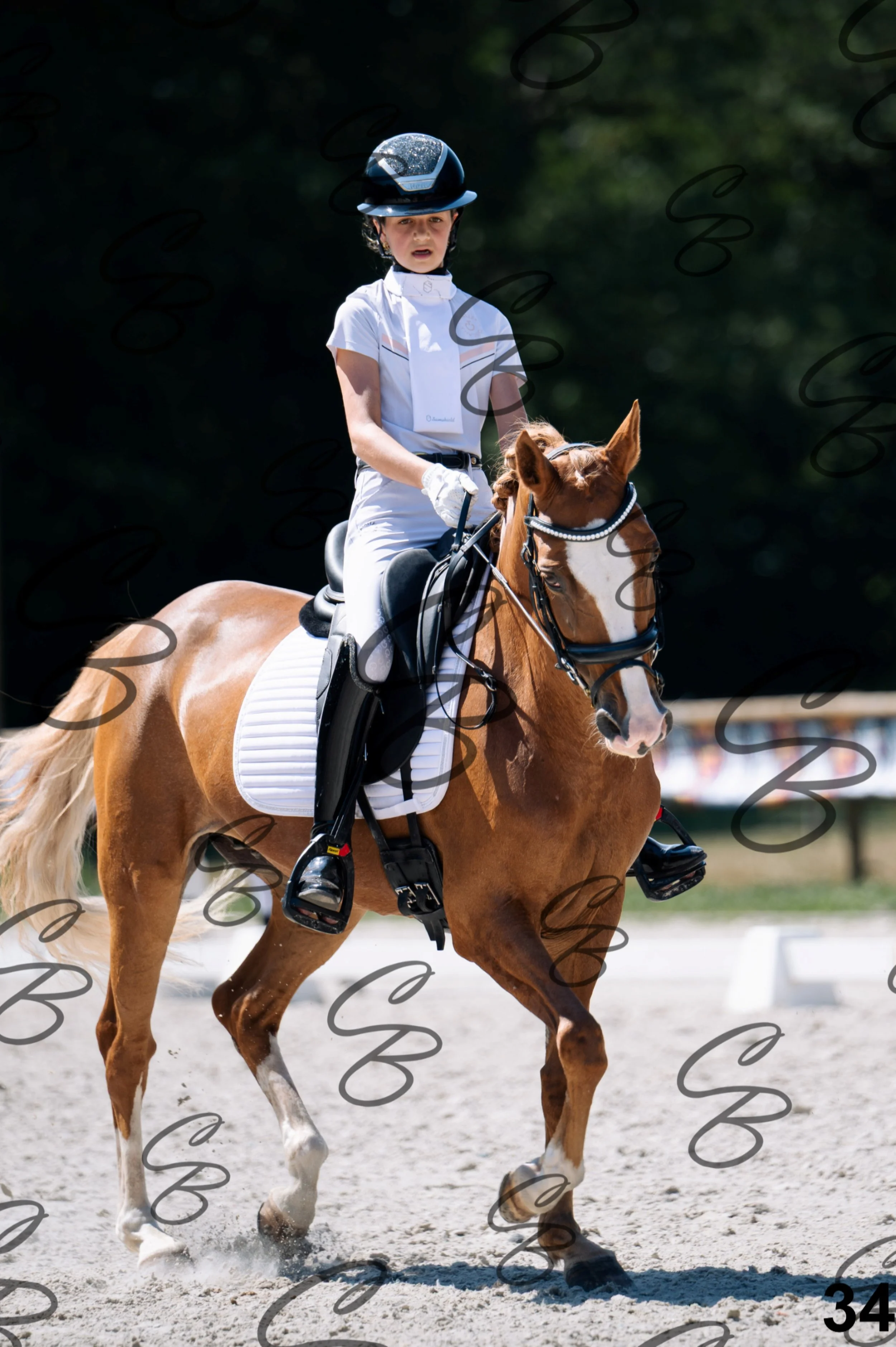 2026.07.12 - Niveau 2 - N2.4-34.jpg