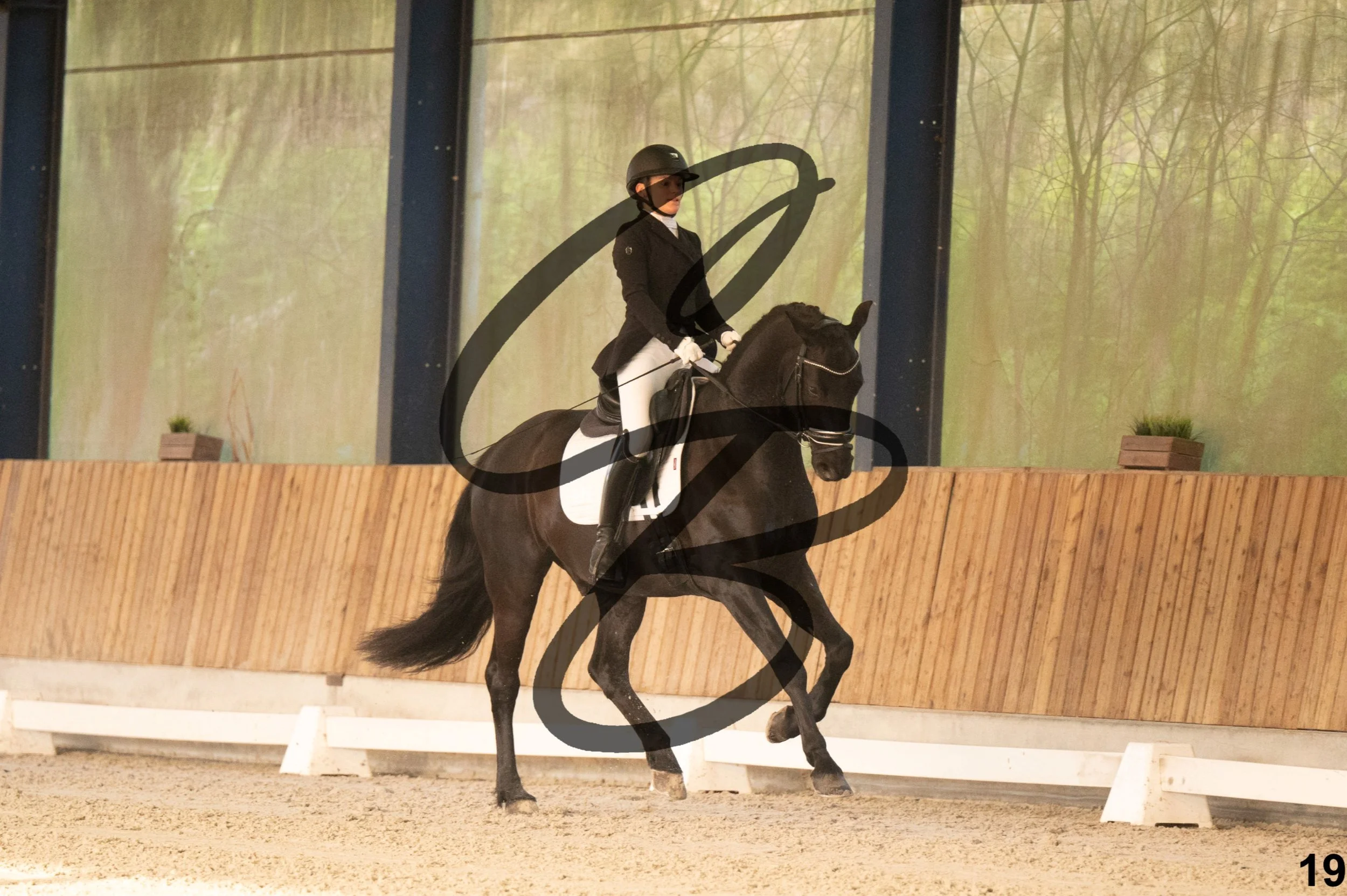 2026.03.22 - jeunes chevaux - 5ans-19.jpg