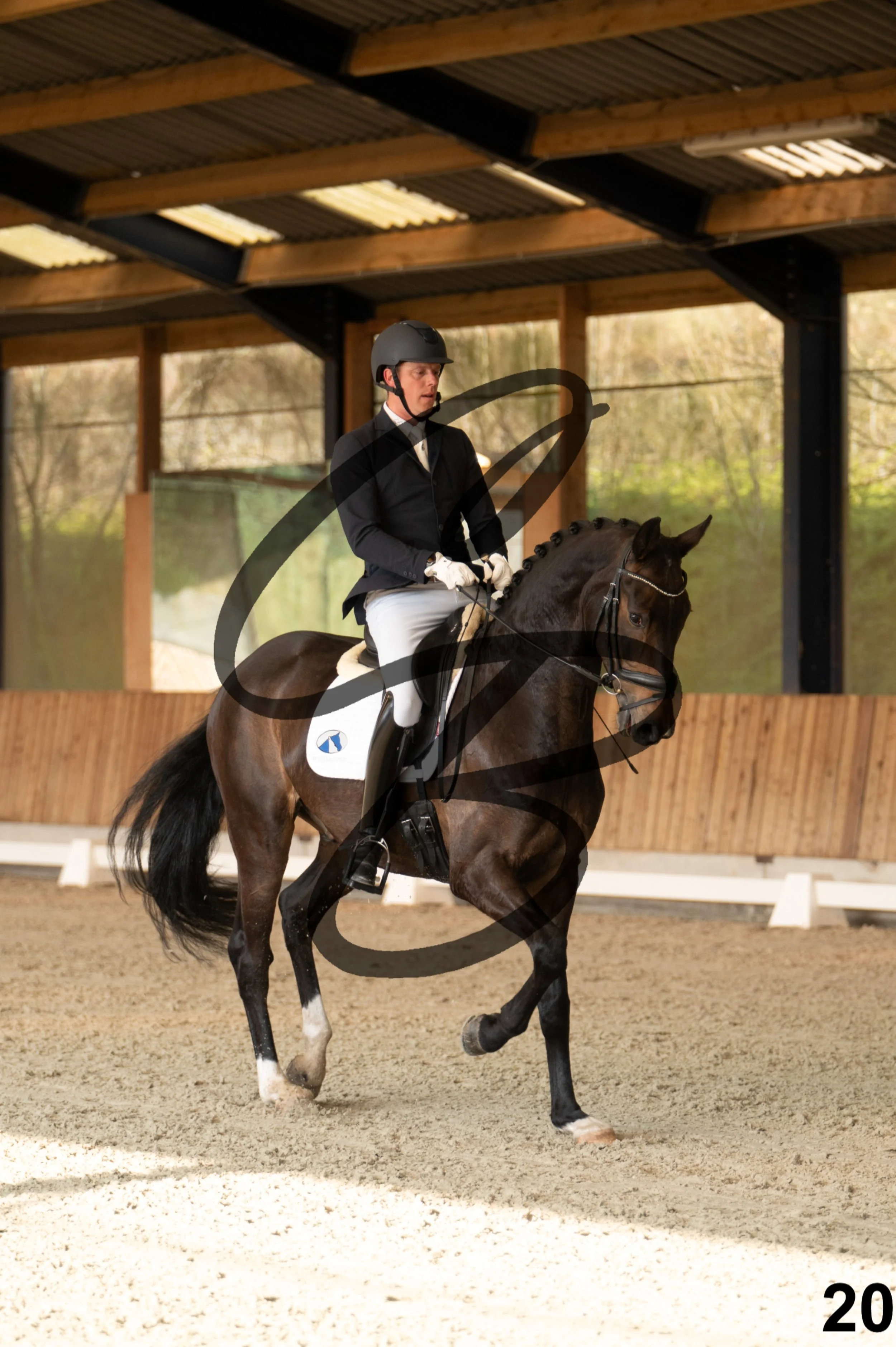 2026.03.22 - jeunes chevaux - 6ans-20.jpg