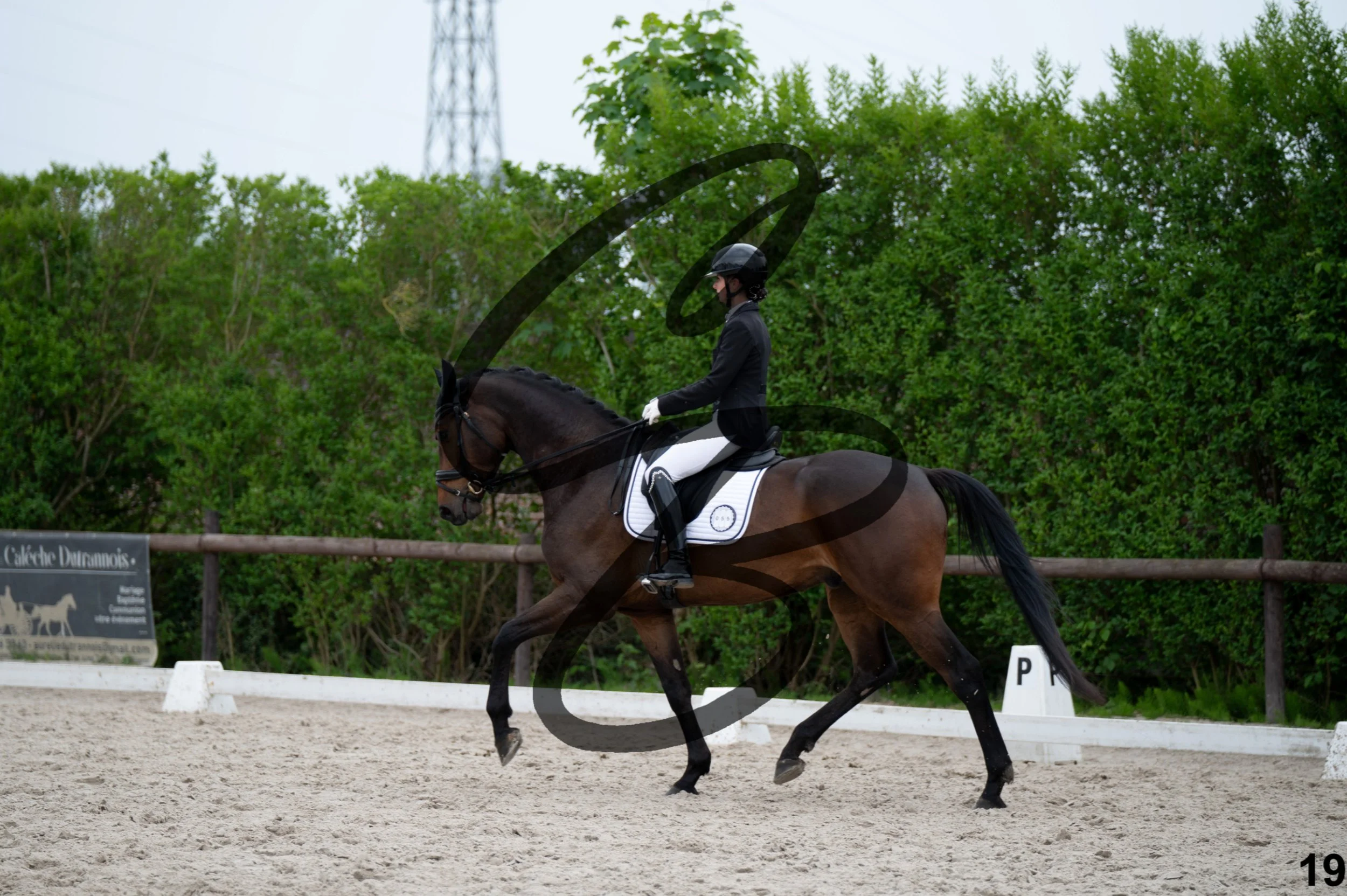 2026.05.10 - Manon & Win -19.jpg