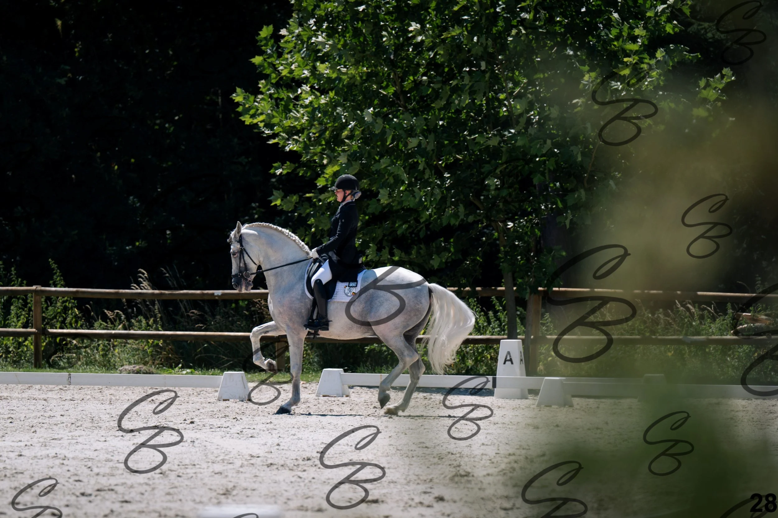2026.07.11 - 13 Reyale - Niveau 6 - REYALE-29.jpg