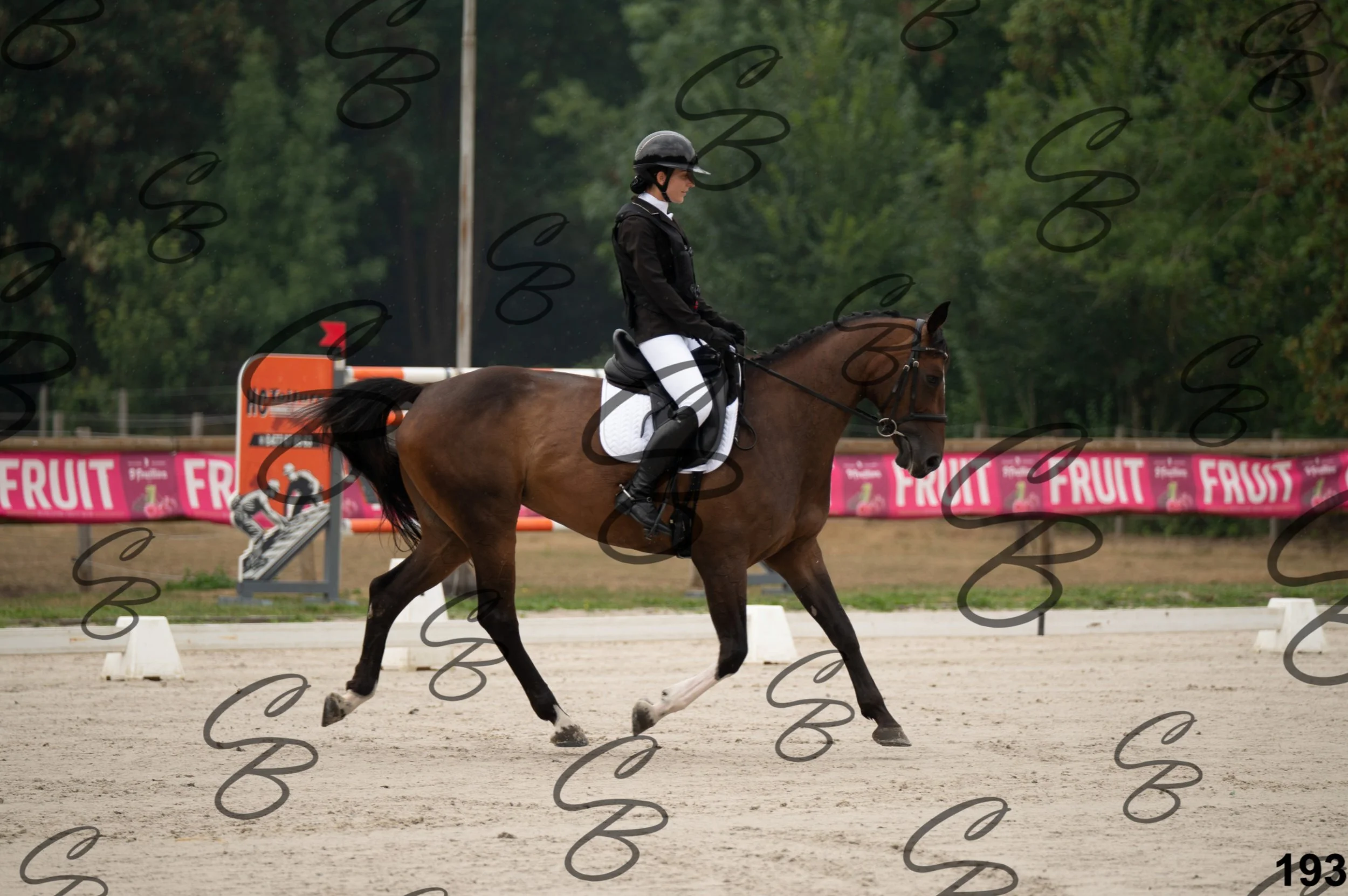 2026.08.15 - Louchier - GHO-261.jpg