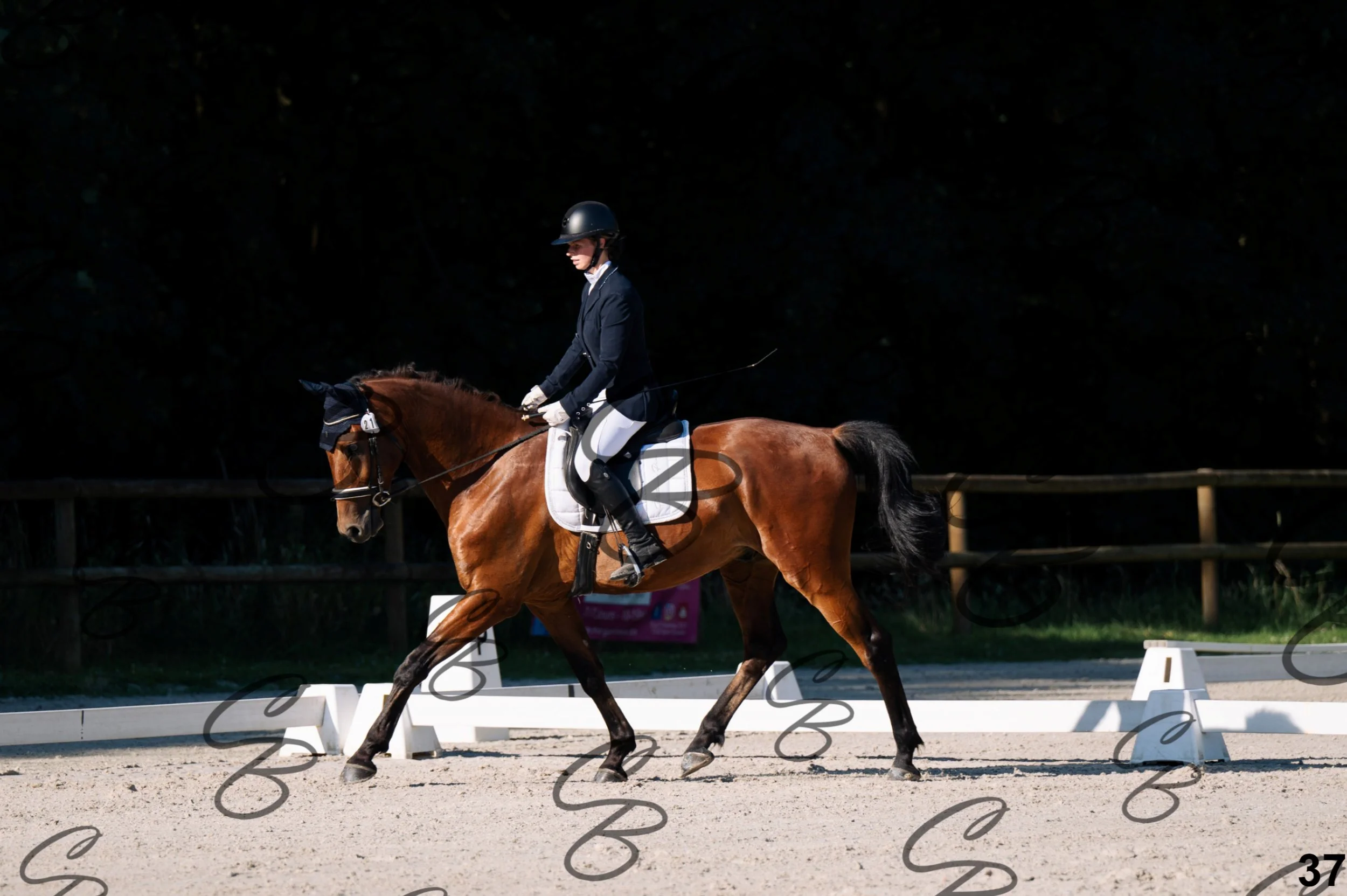 2026.07.12 - 103 Reprise Accueil-7.jpg