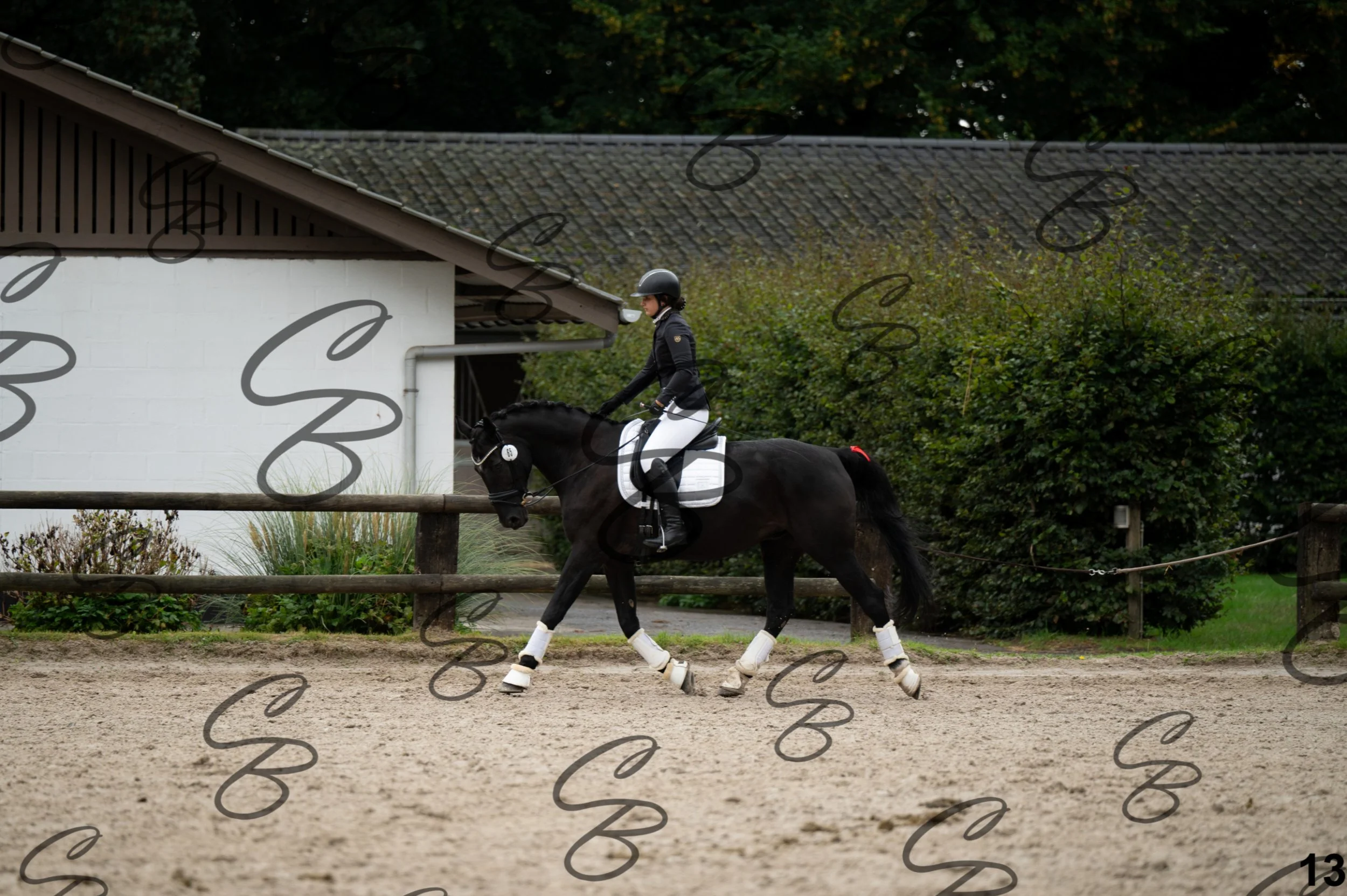 2026.09.13 - Reka-13.jpg