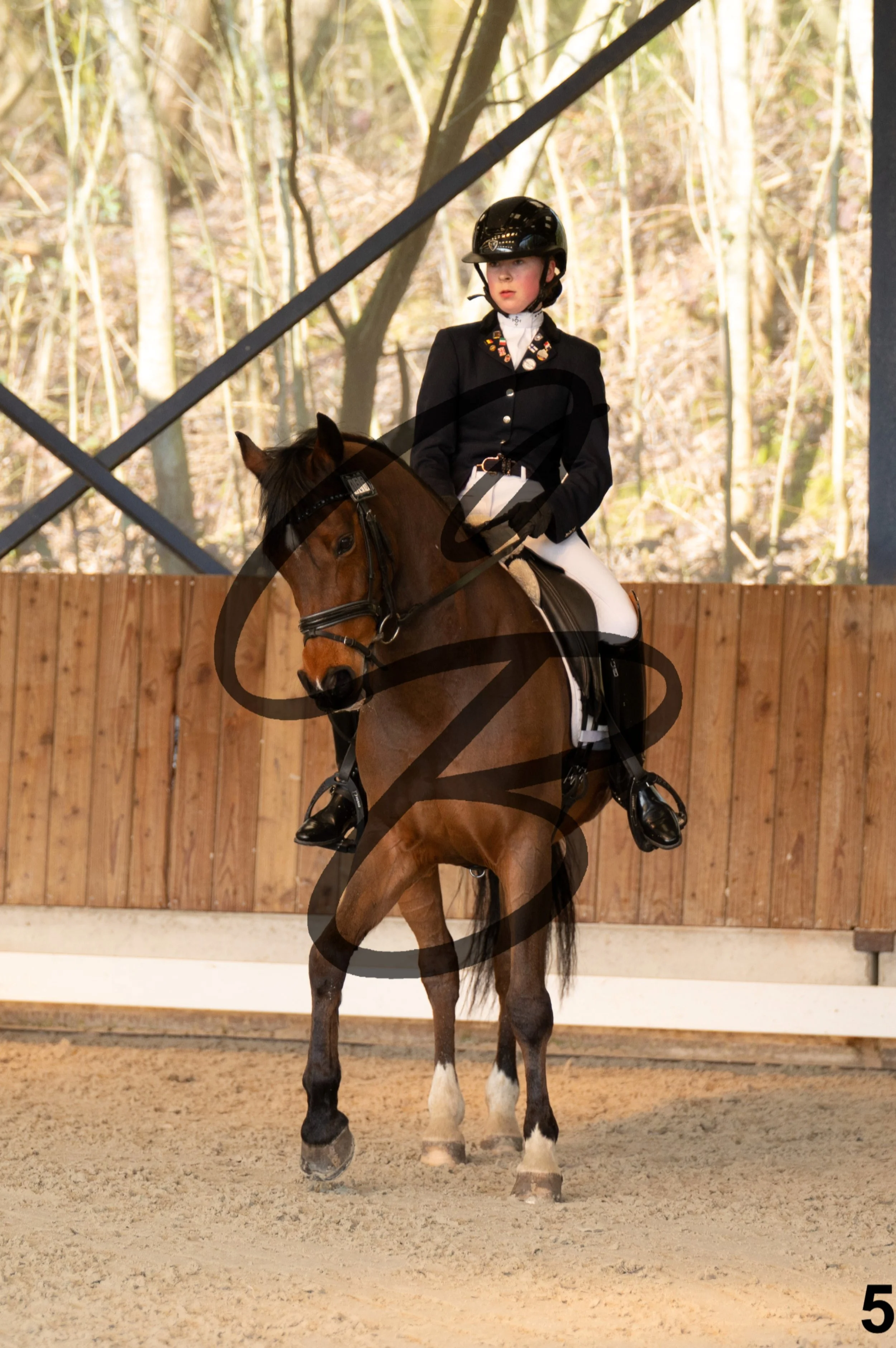 2026.03.22 - Niv3 - pony team test-5.jpg