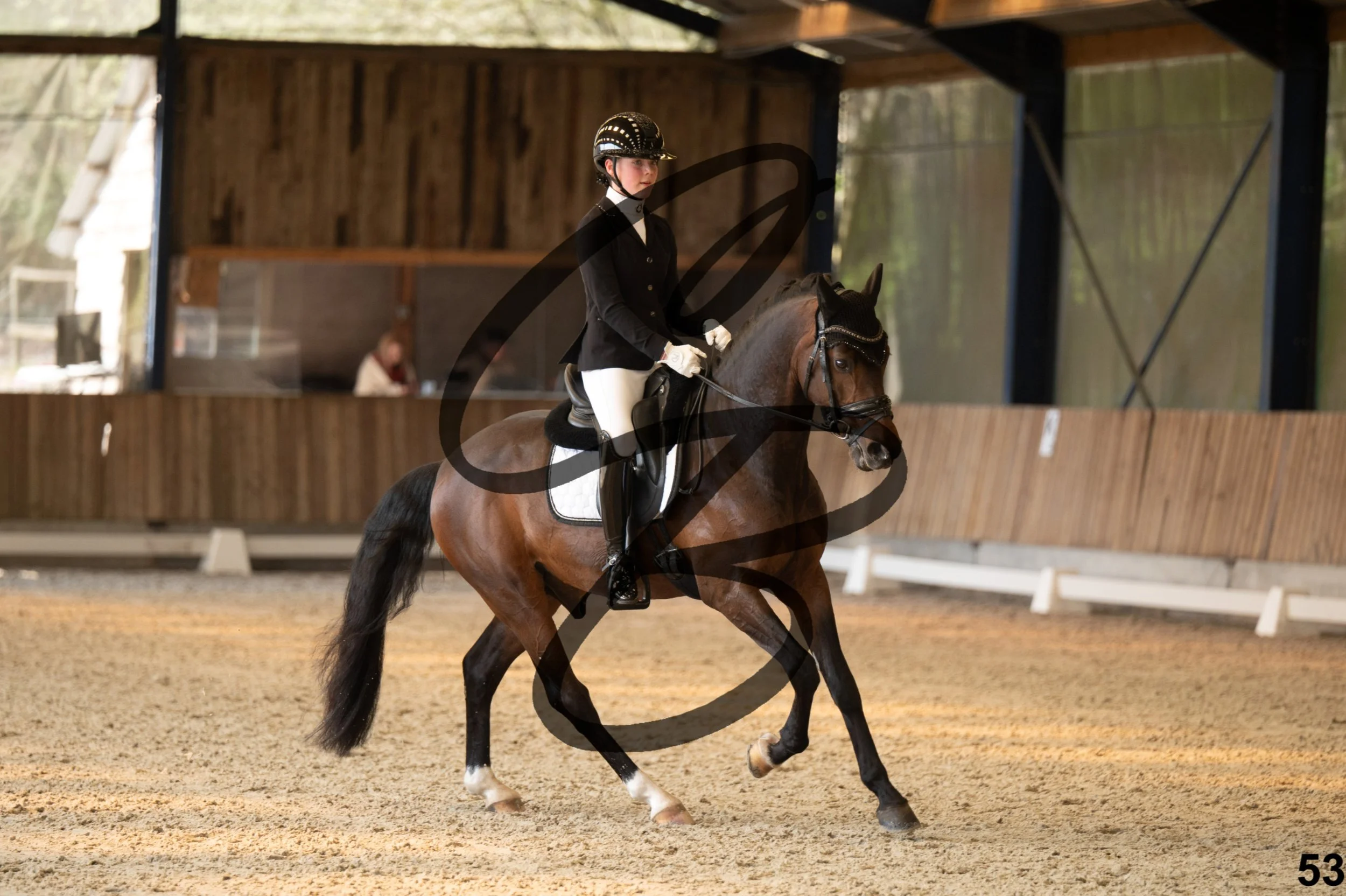 2026.03.22 - Niv3 - pony team test-53.jpg