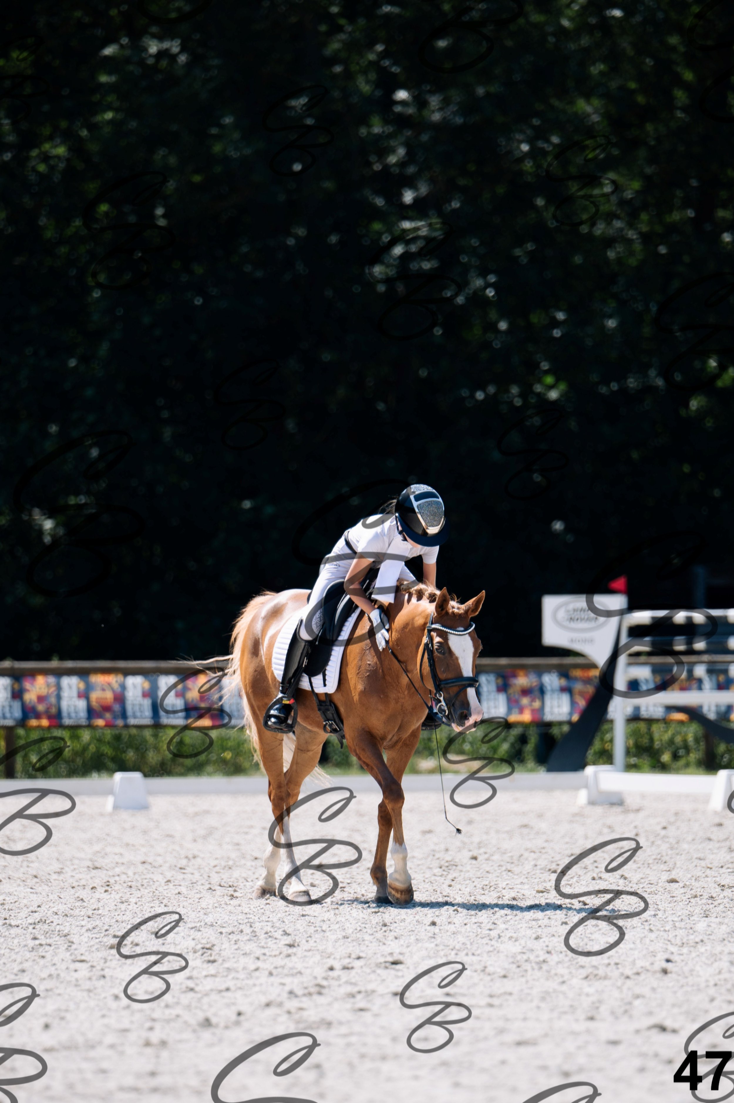 2026.07.12 - Niveau 2 - N2.4-47.jpg