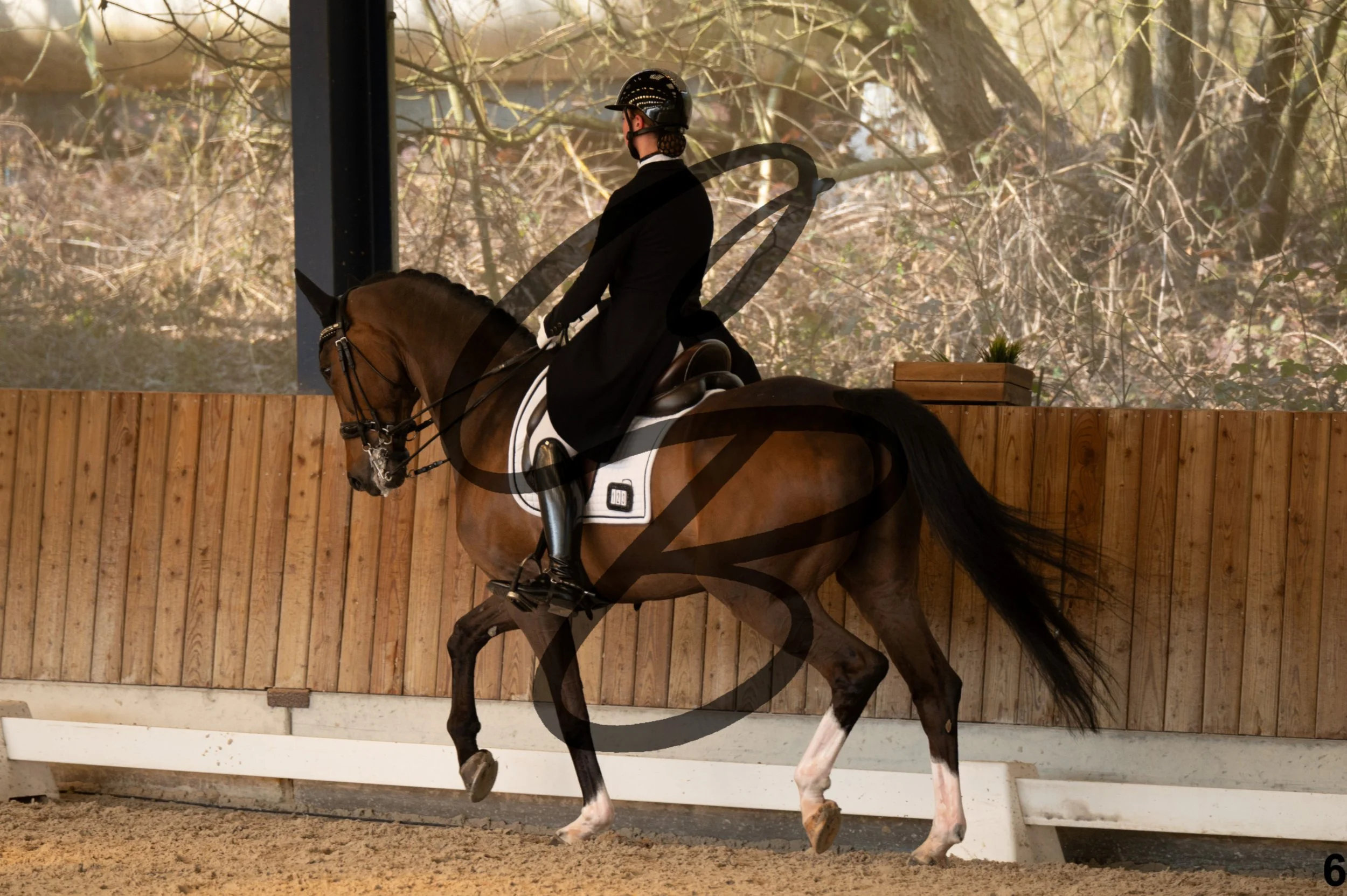 2026.03.22 - Niv4 - junior team test-6.jpg